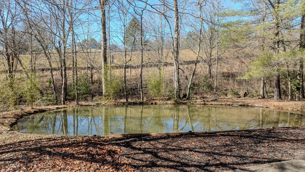214 Hedden Road, Murphy, NC 28906 Listing Photo  8