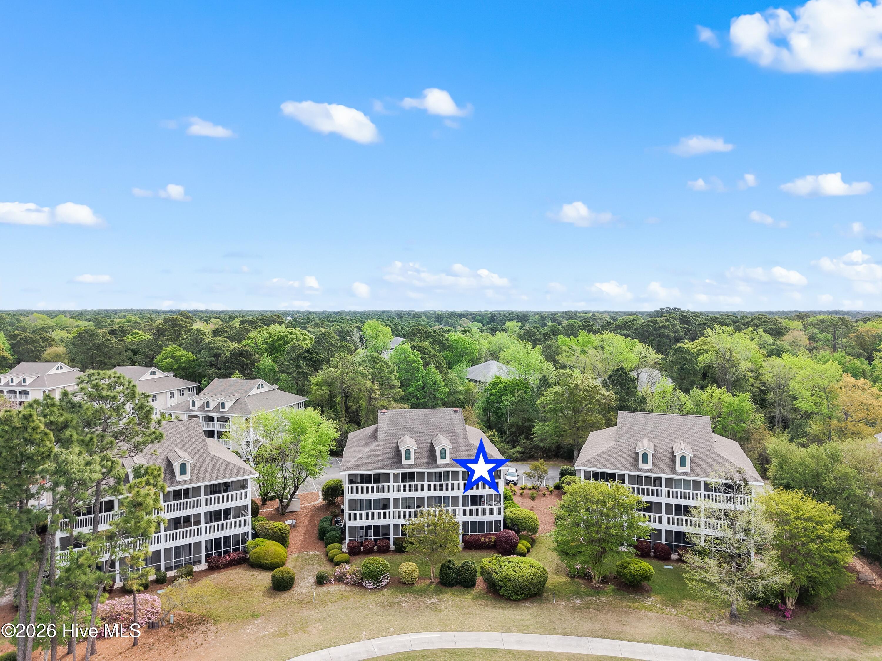 100565554 | Photo 45