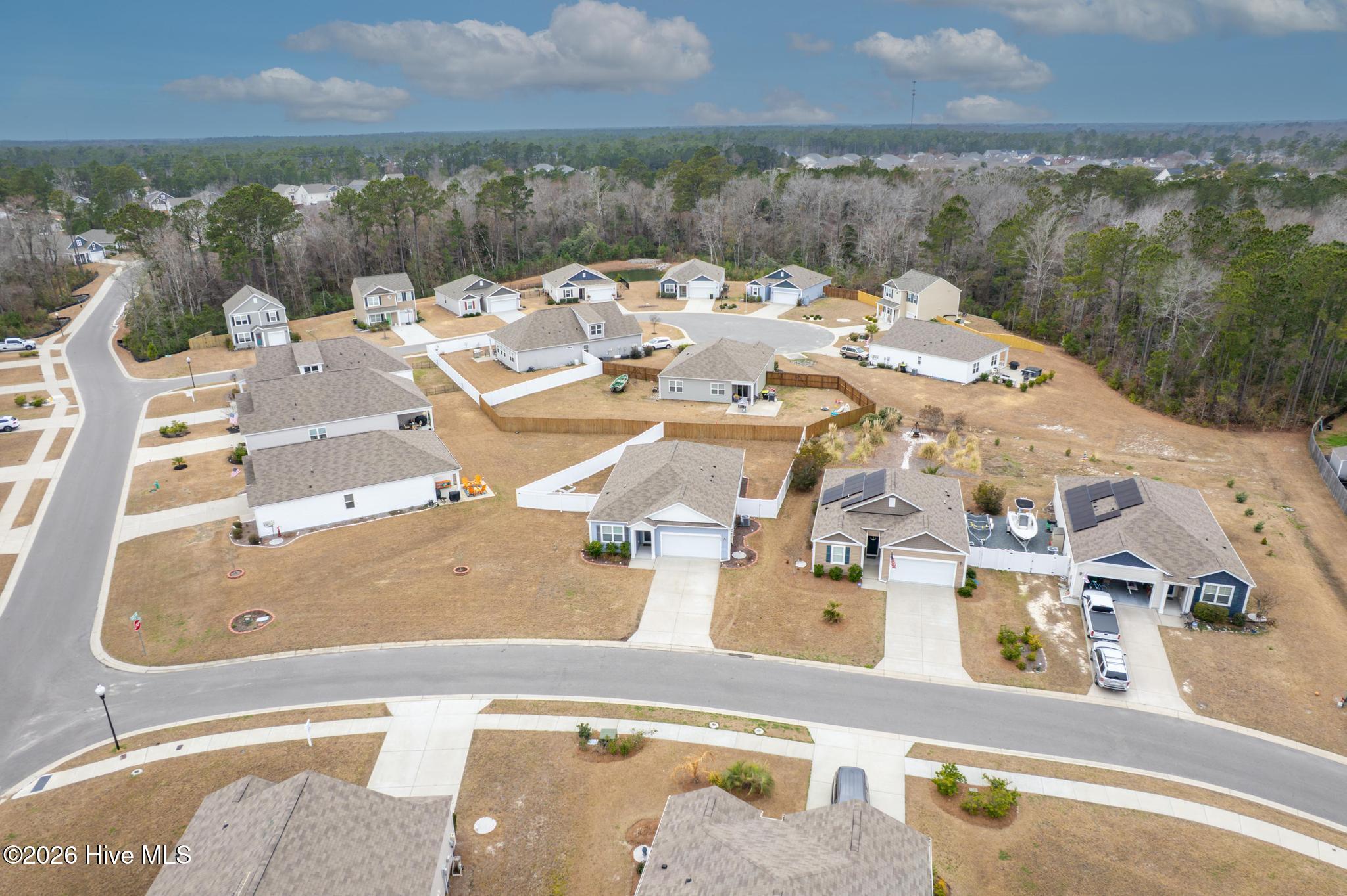 100557258 | Photo 33