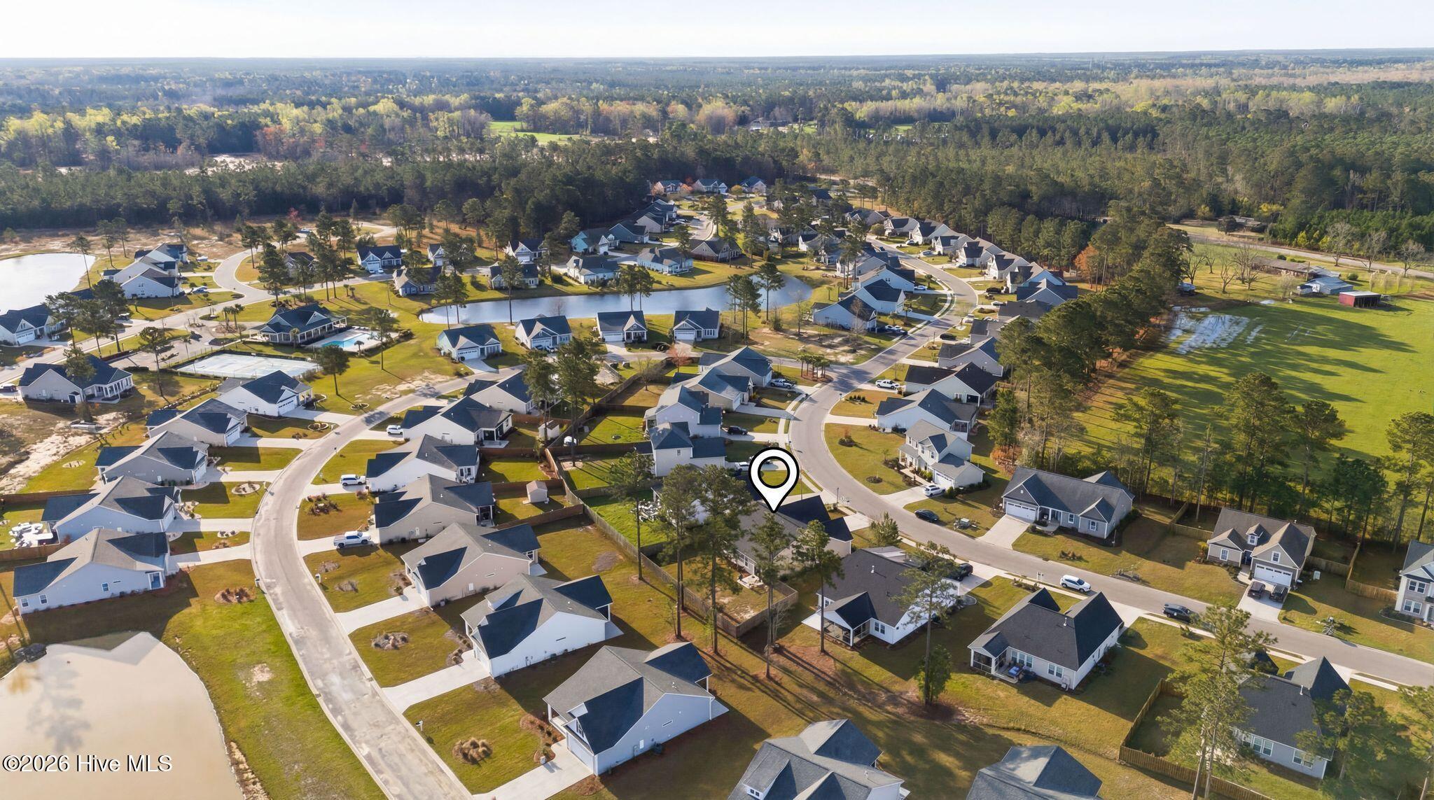 100563254 | Photo 71