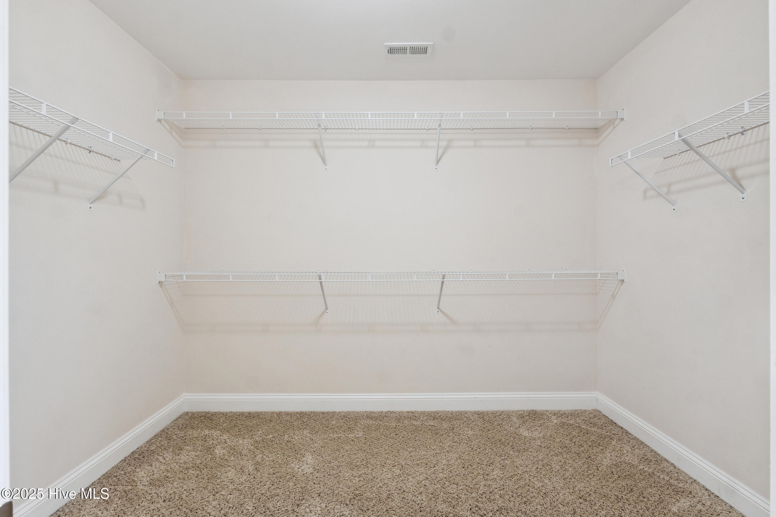 100521845 | Photo 31