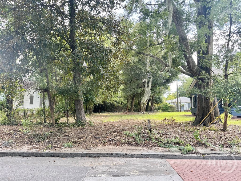 Land for sale at 503 Durant Ave, Savannah, GA 31404 | MLS# SA361133