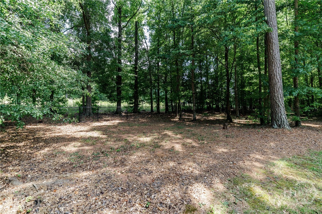 540 Lacebark Drive