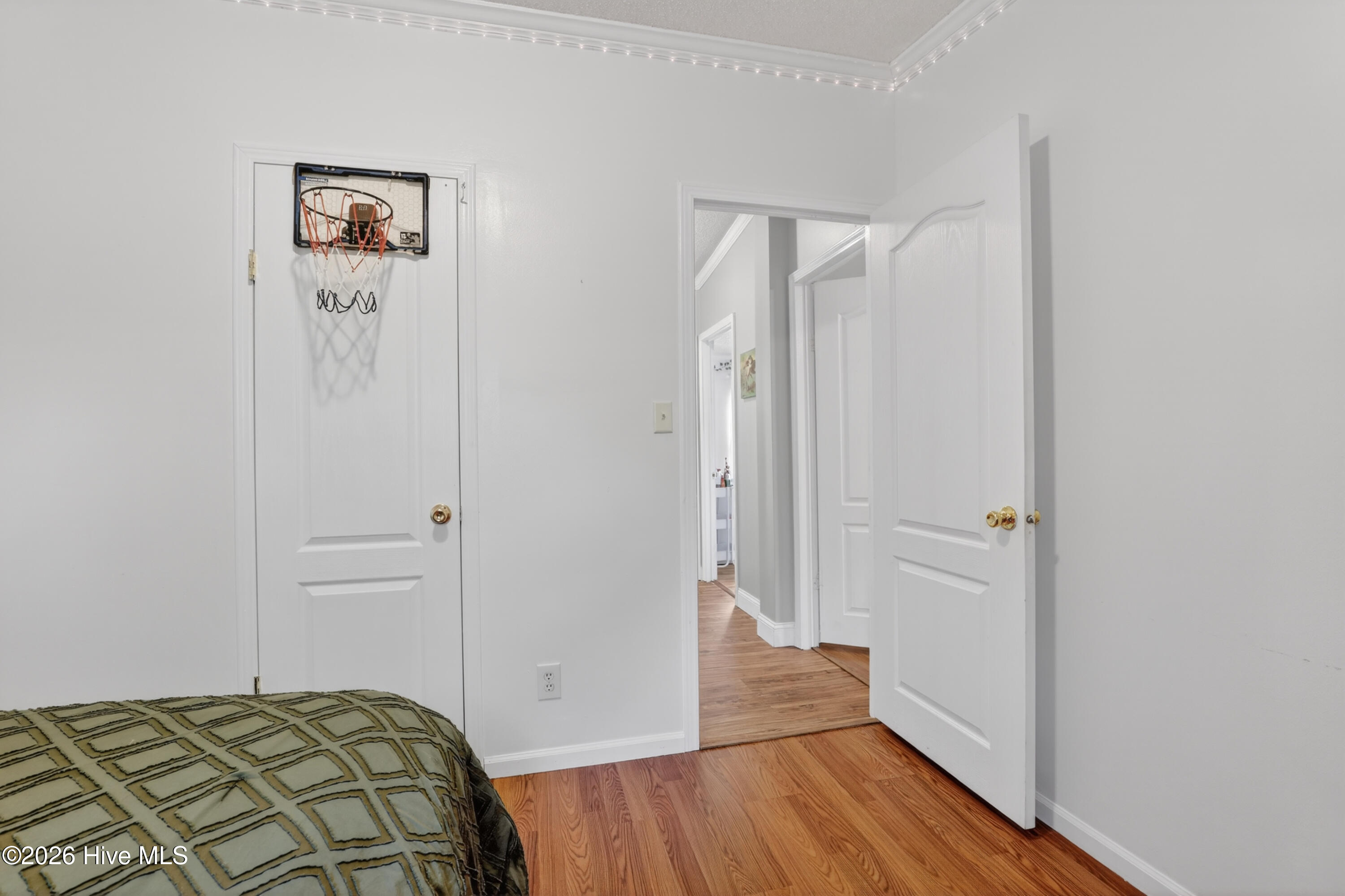 100568101 | Photo 24