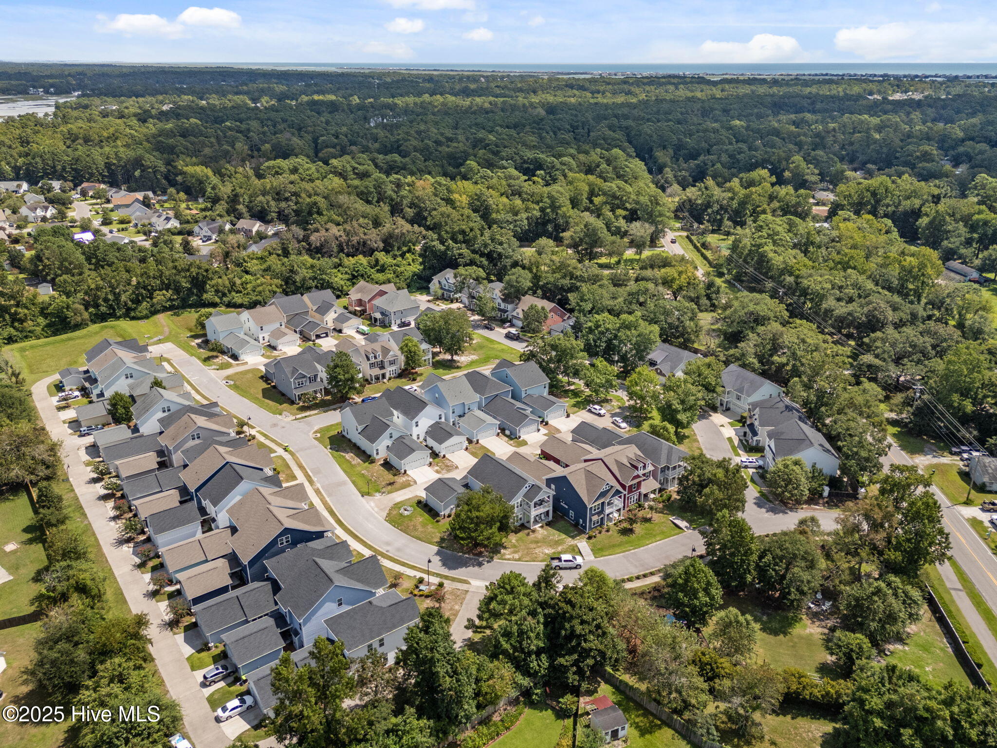 100526886 | Photo 55