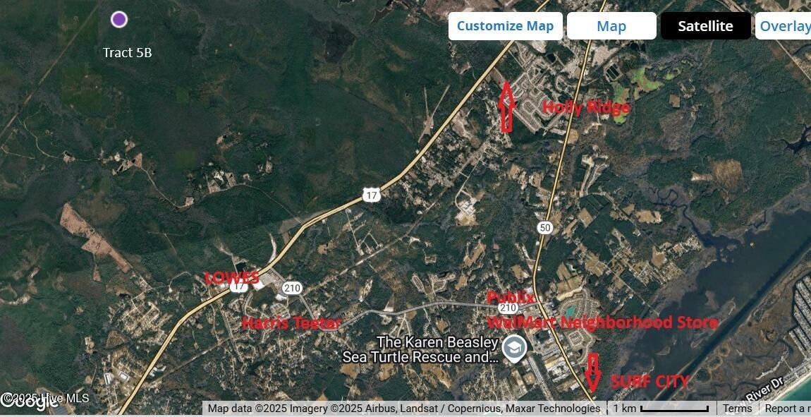 100525966 | Photo 25