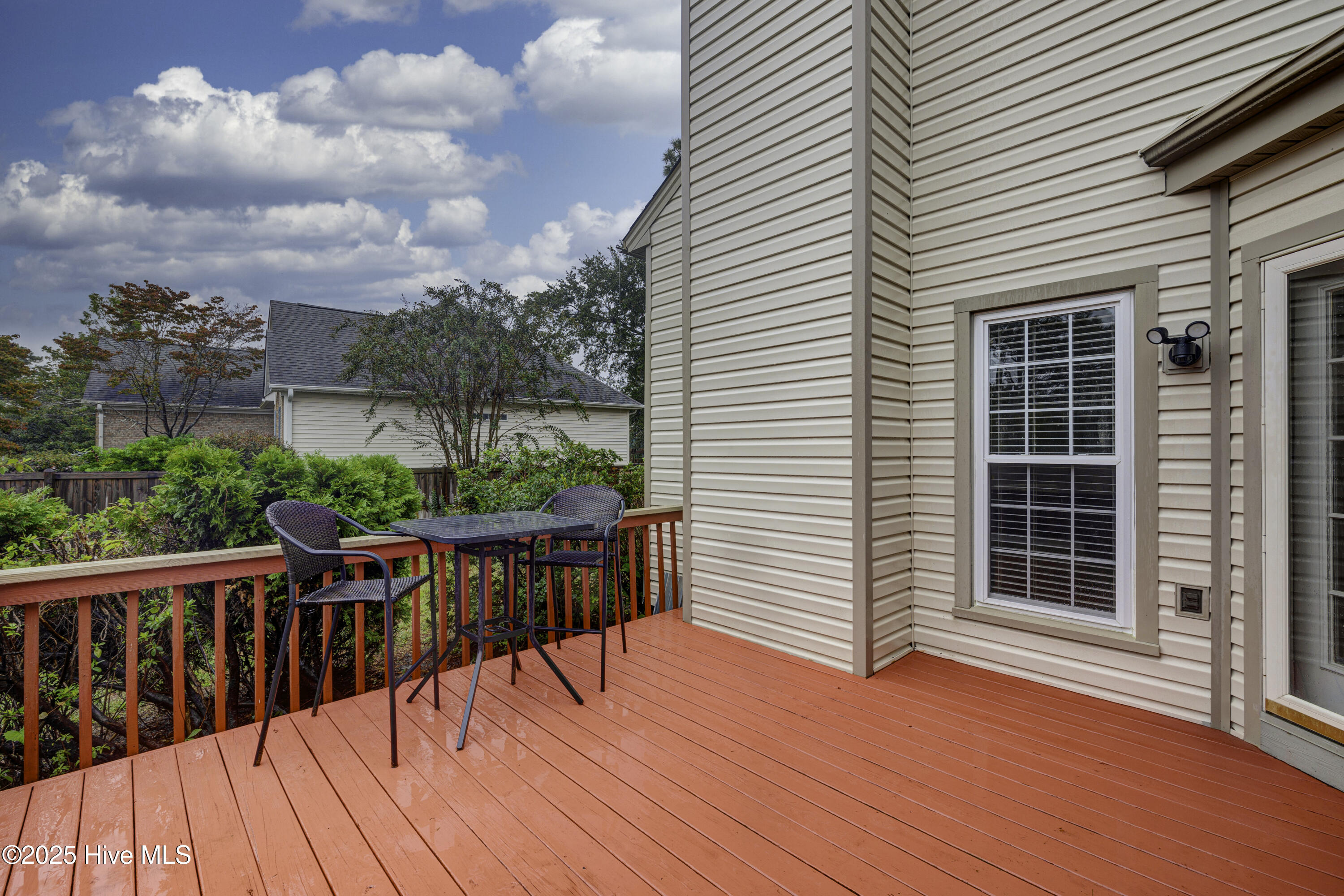 100534383 | Photo 26