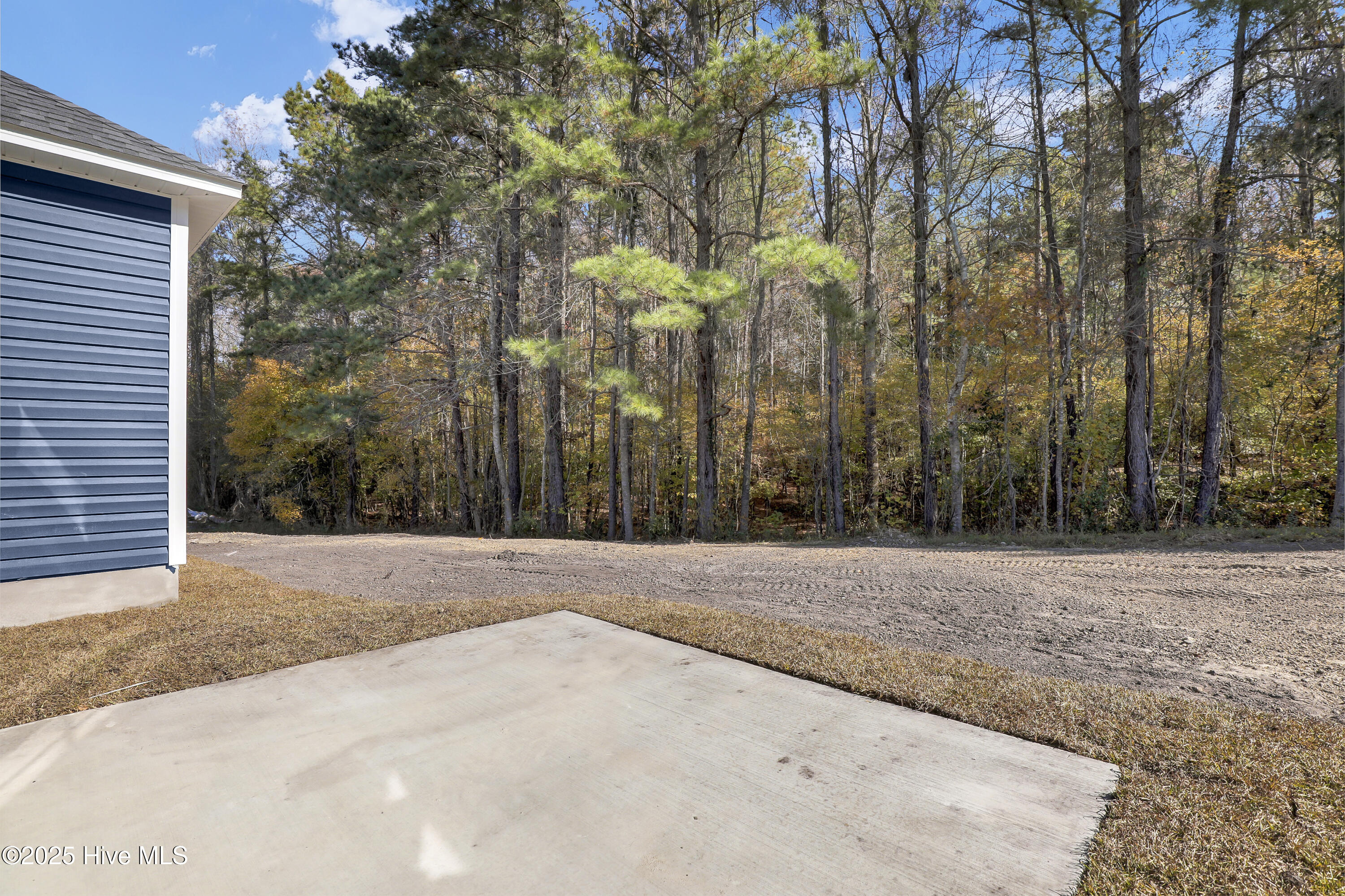 100542406 | Photo 32