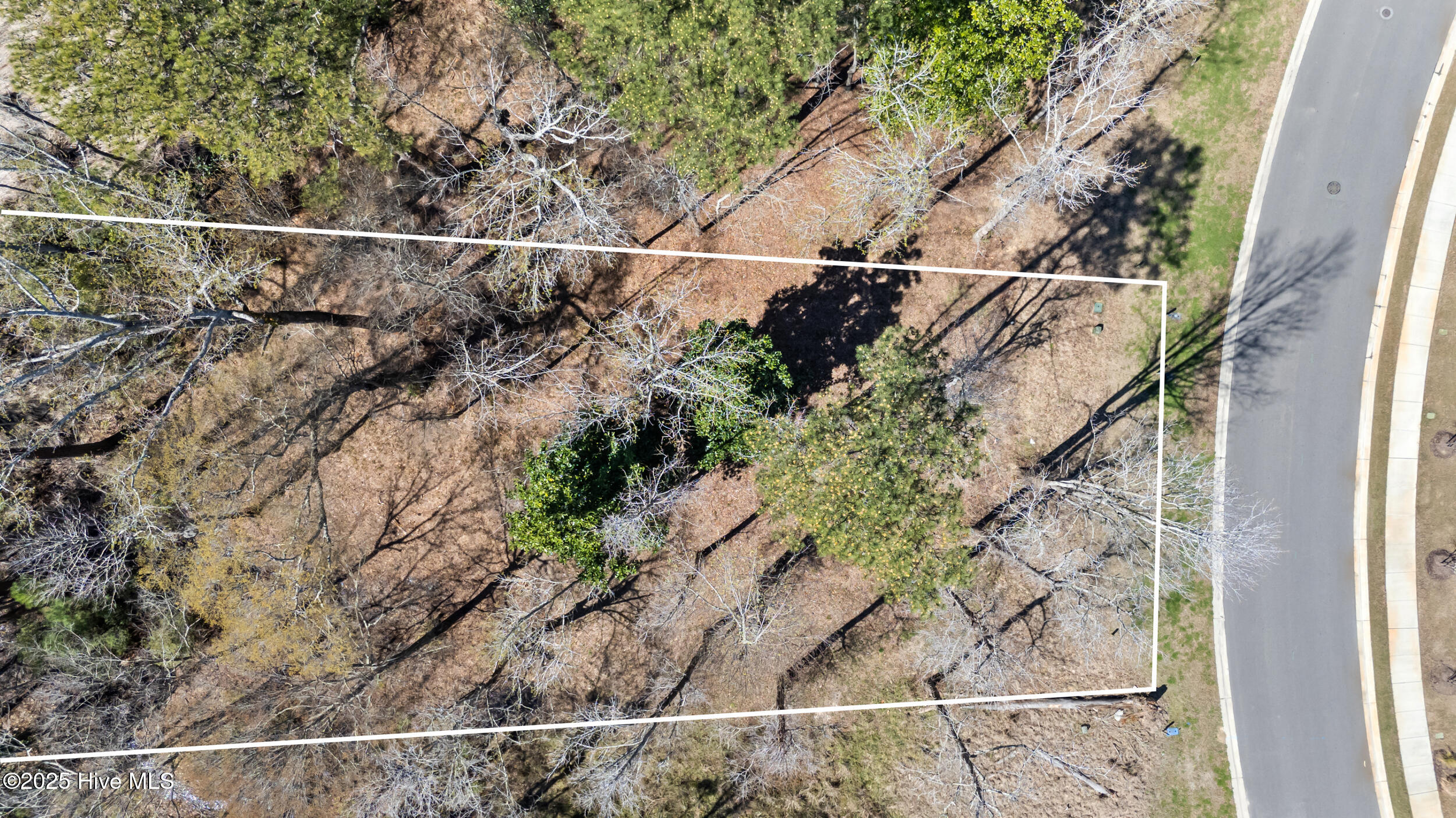 228 Preservation Point Avenue, Wilmington, NC, 28401