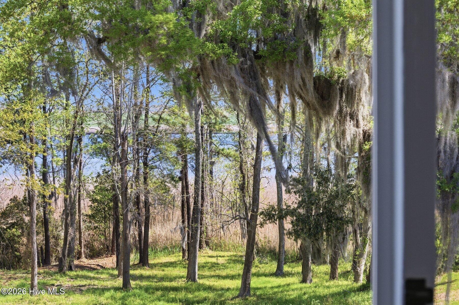 100564034 | Photo 22