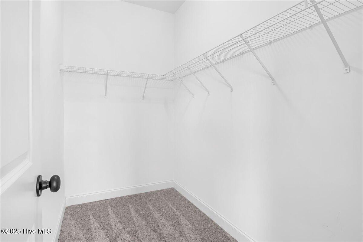 100527070 | Photo 18