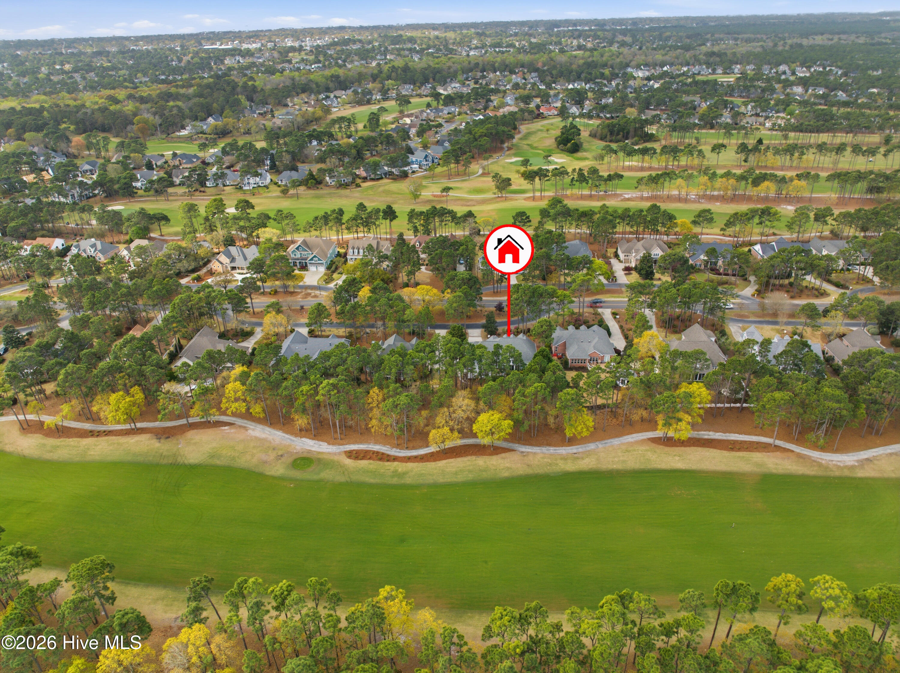 100564679 | Photo 62