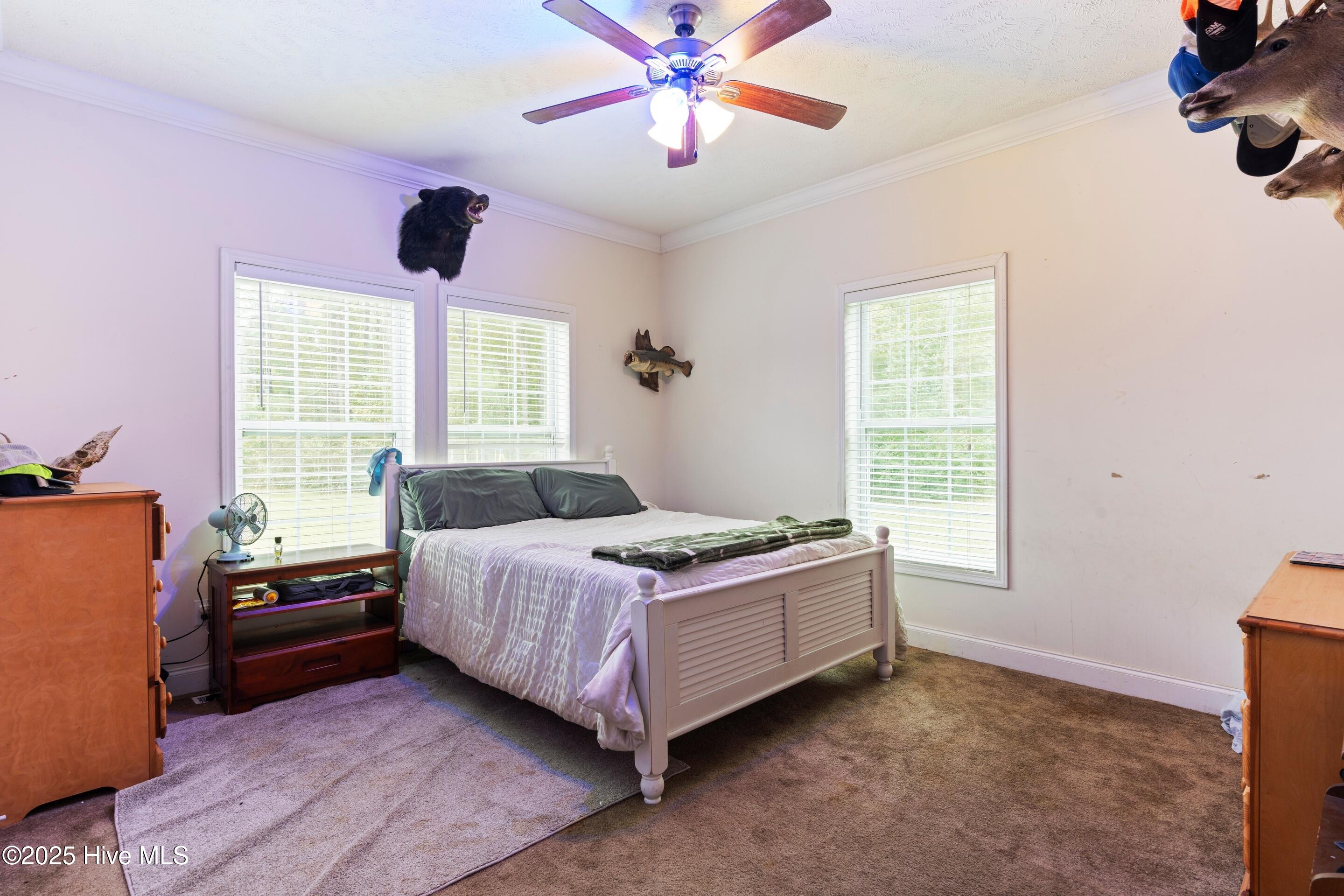 100537388 | Photo 42