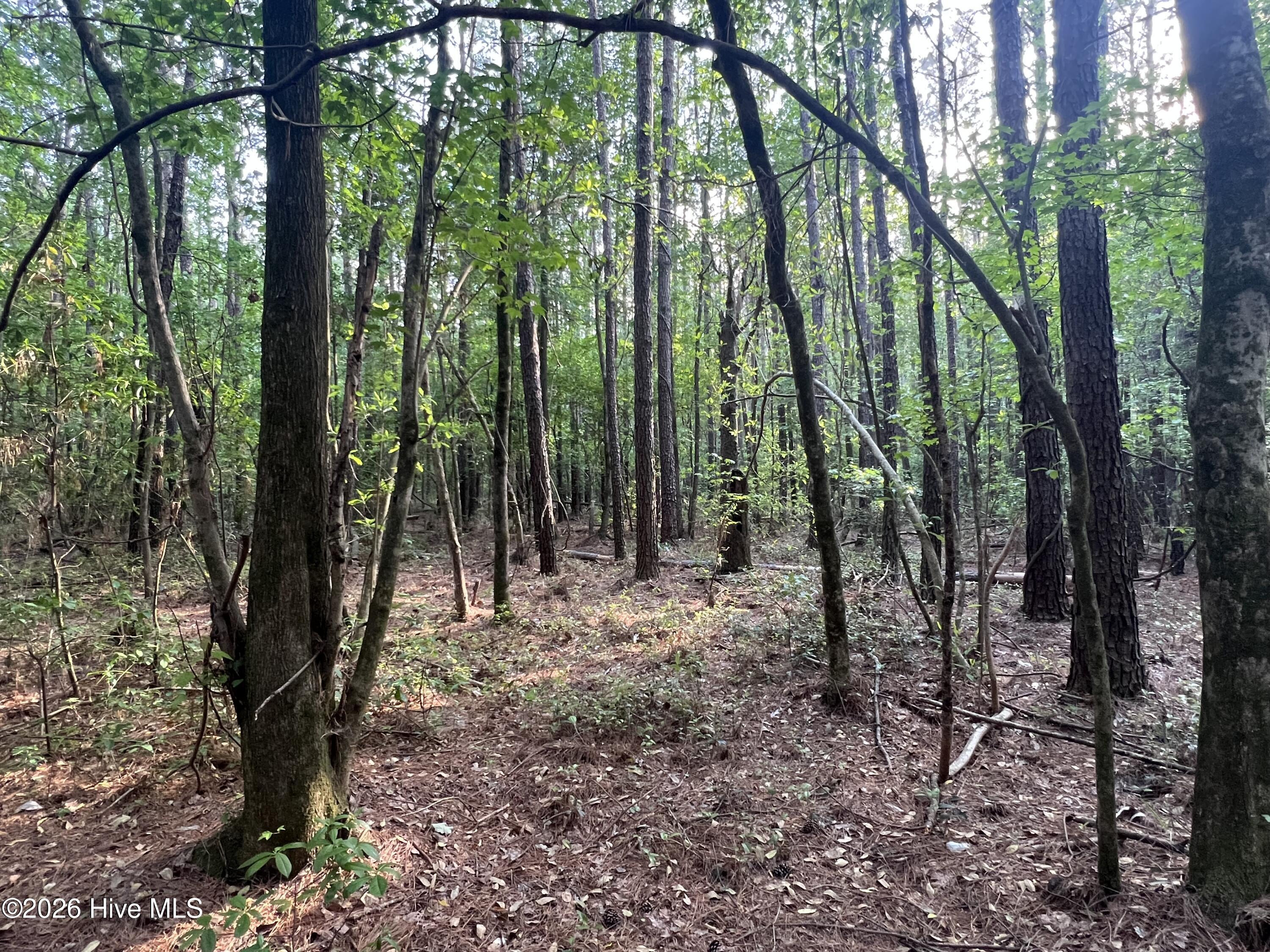 0 Nc 30, Stokes, NC, 27884