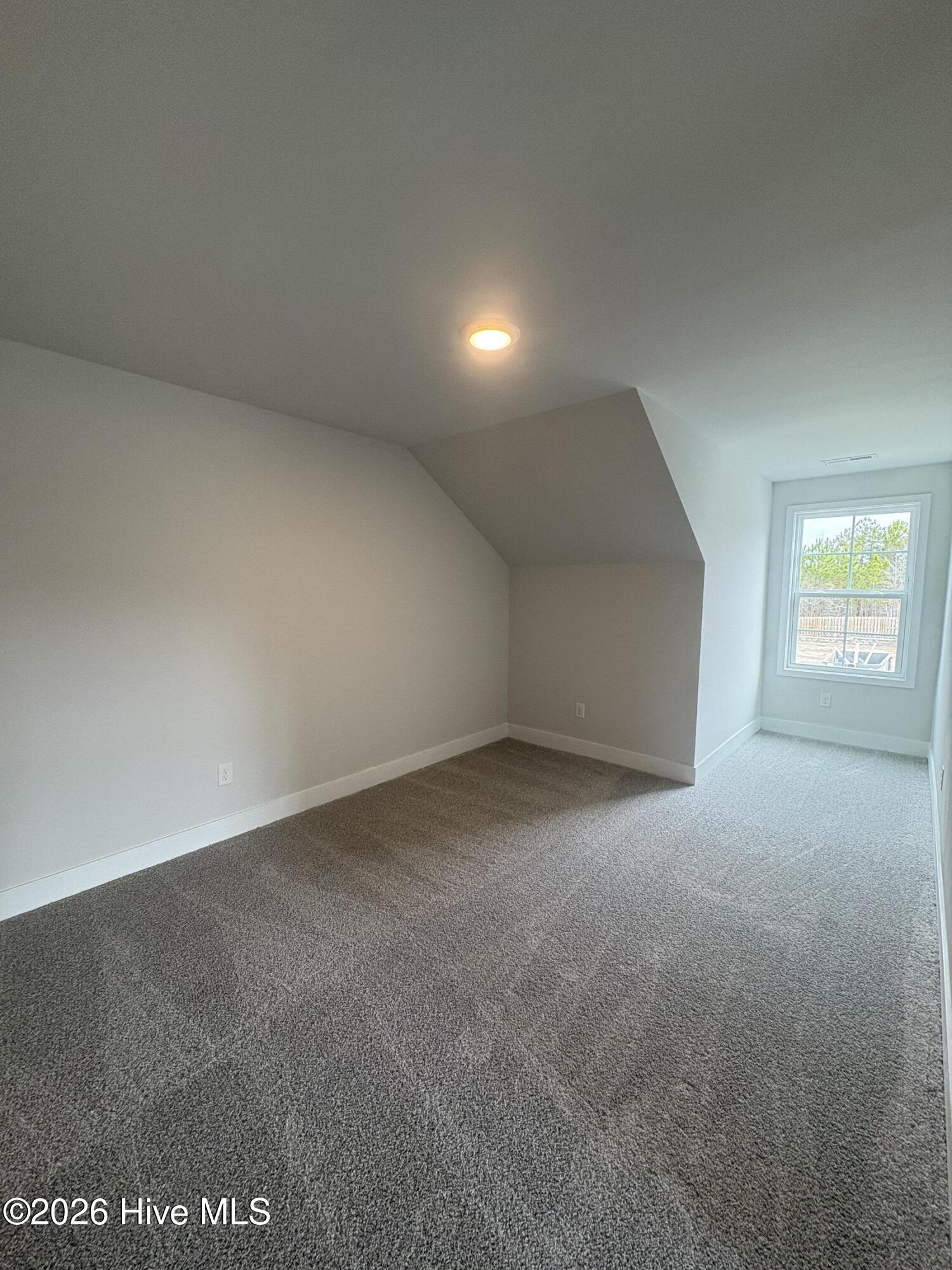 100546483 | Photo 19