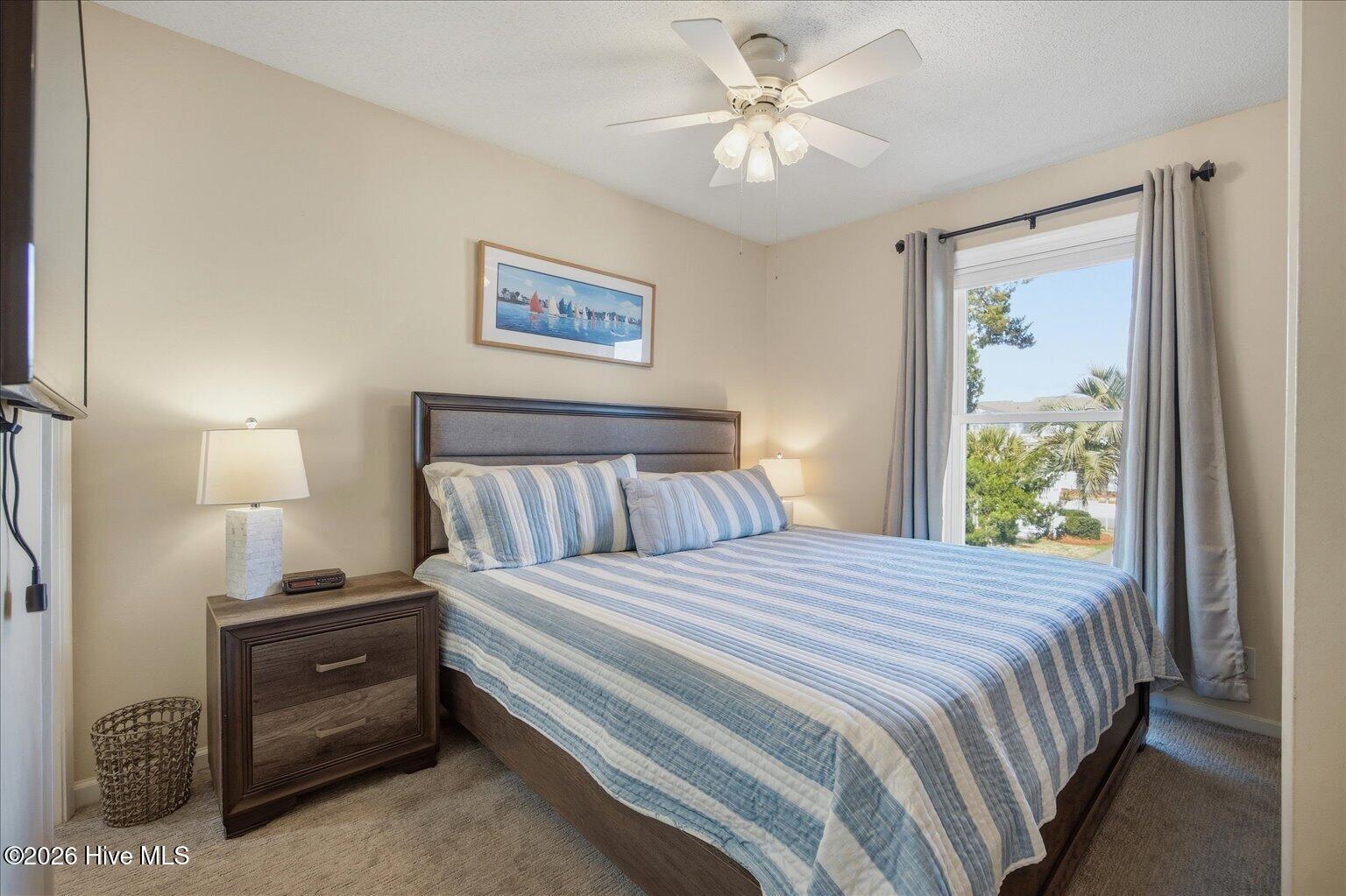 100558776 | Photo 16