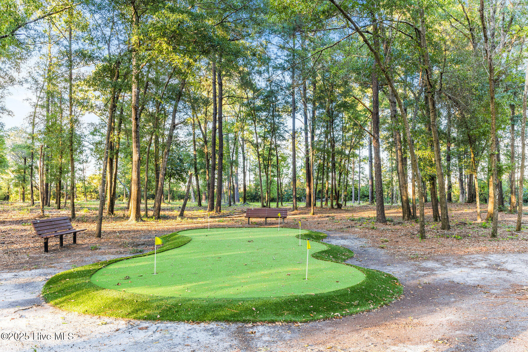 100537930 | Photo 69