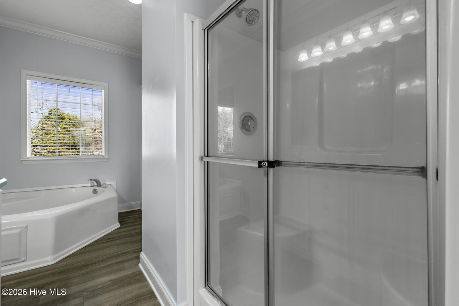 100550778 | Photo 15