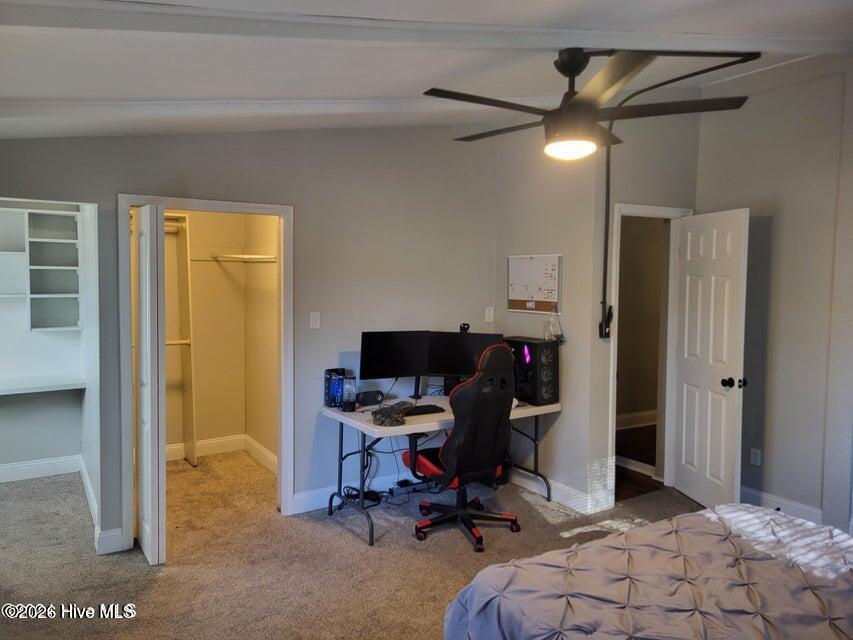 100553497 | Photo 32