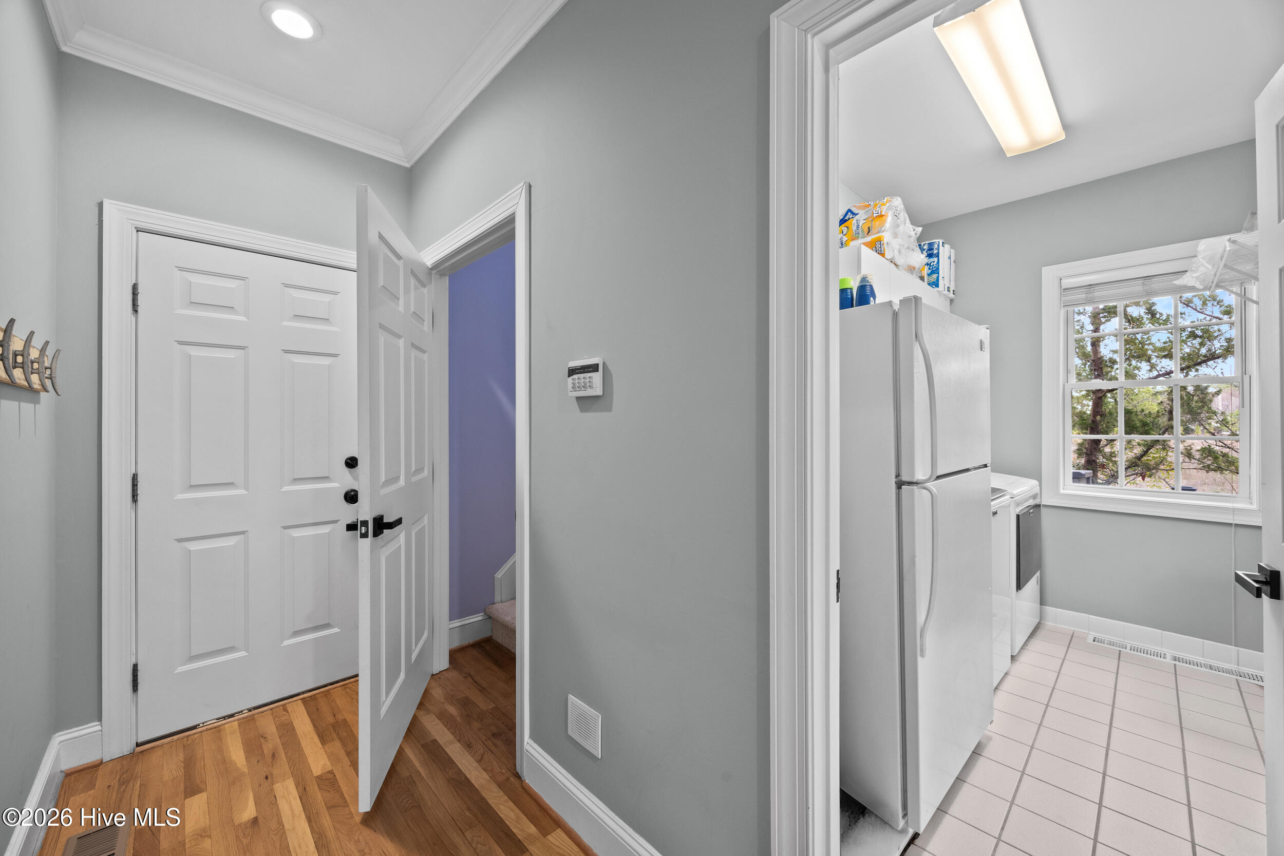 100555856 | Photo 23