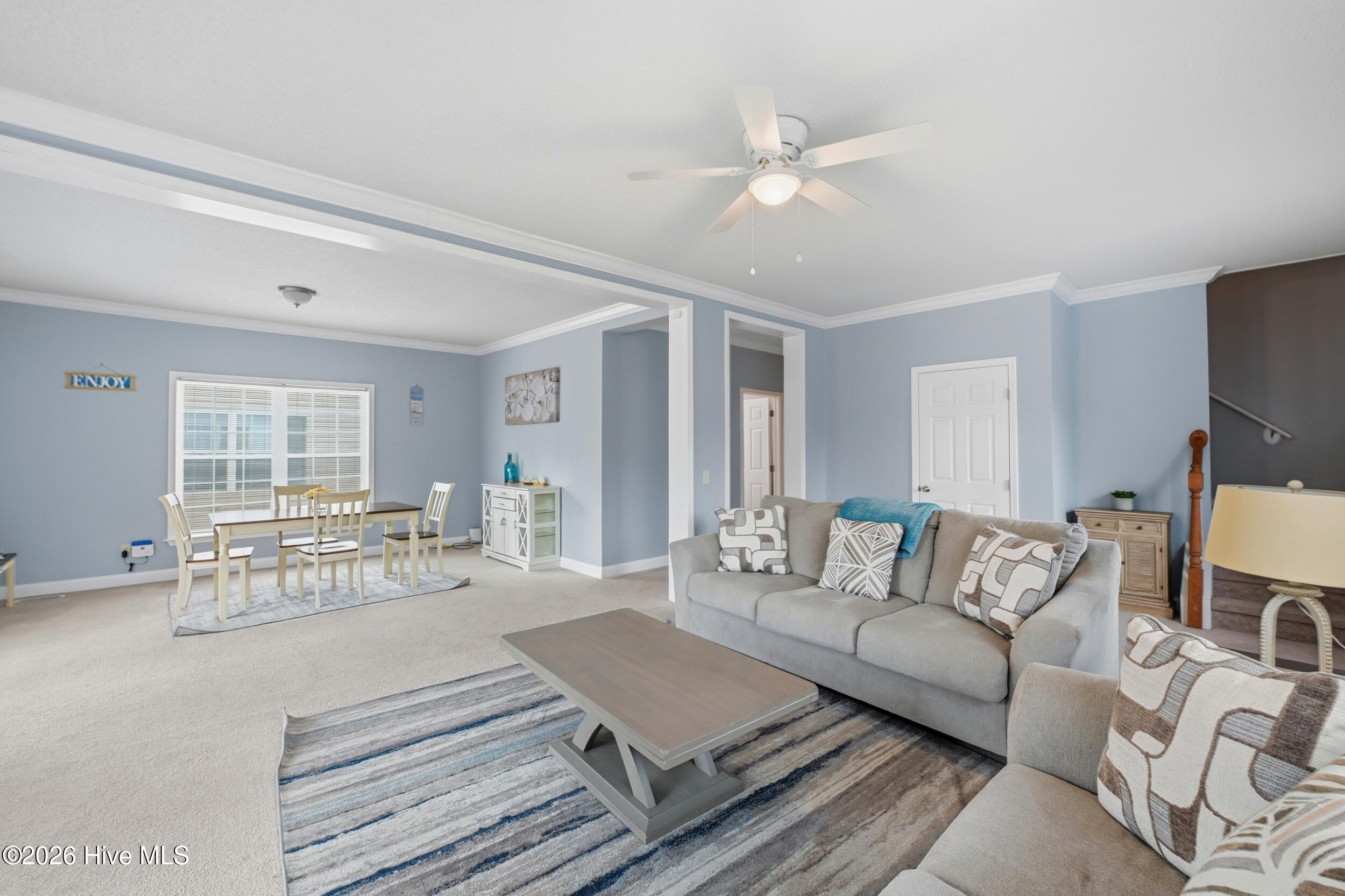 100557500 | Photo 11