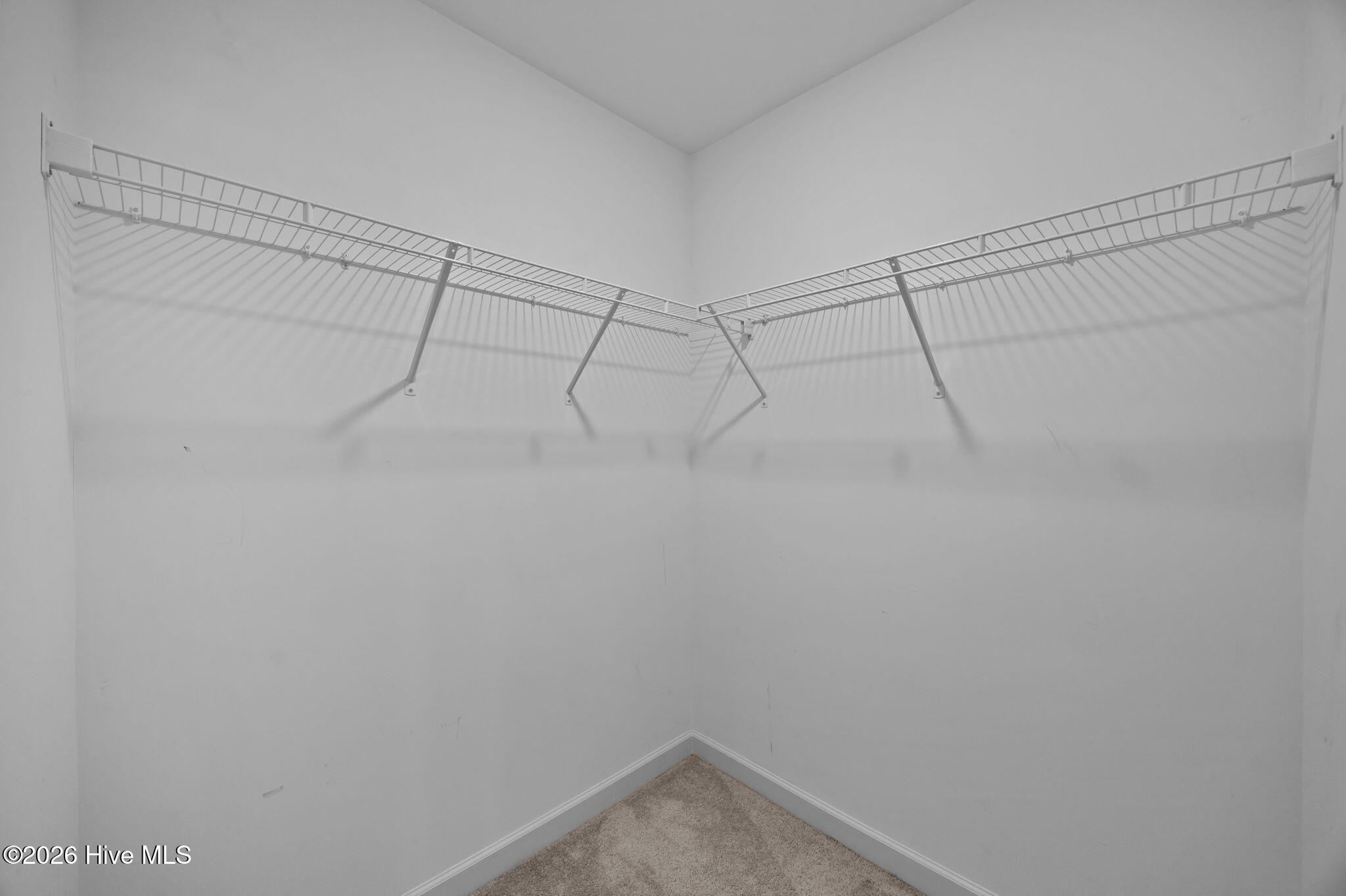 100553679 | Photo 29