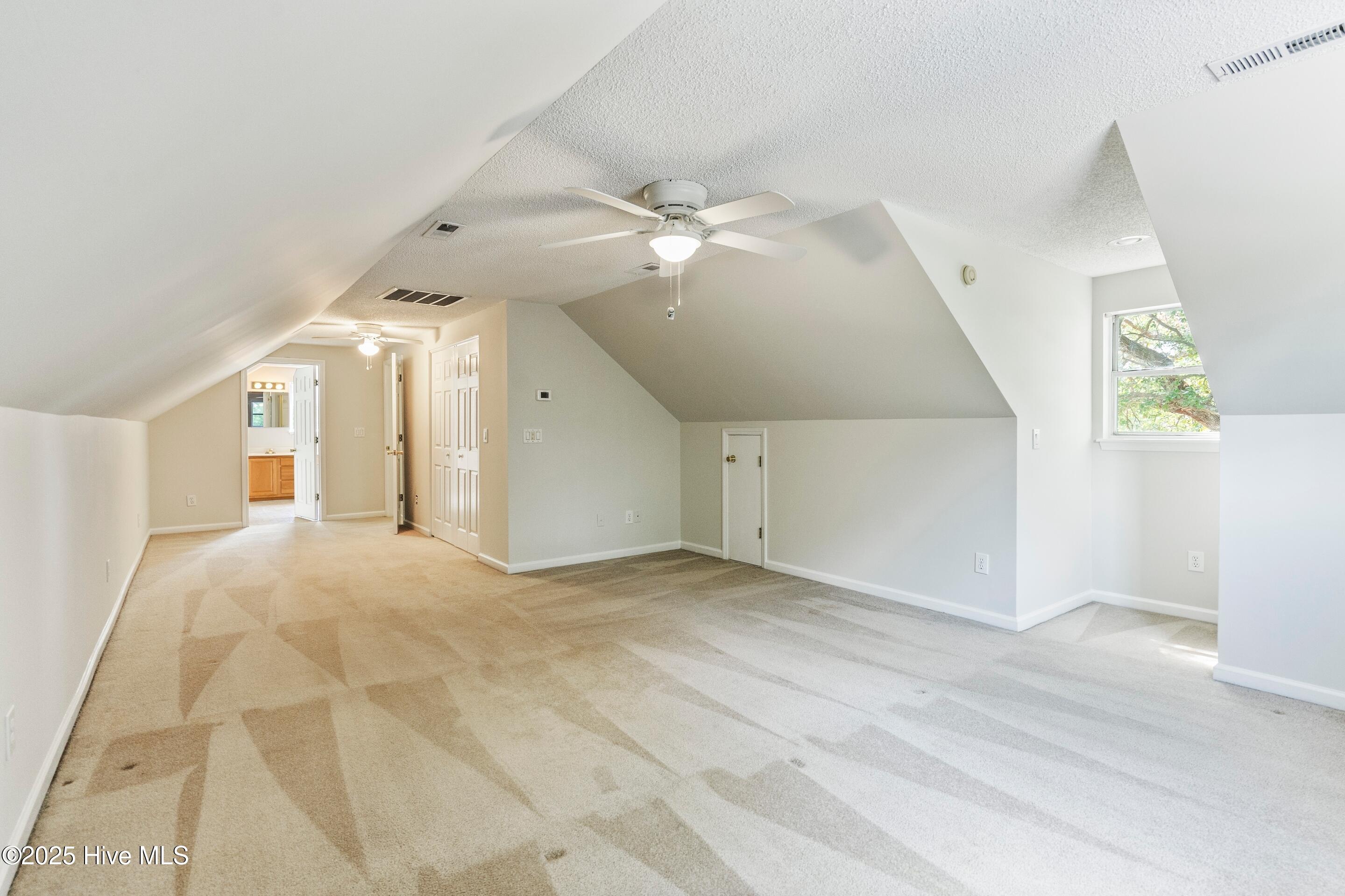 100522461 | Photo 35