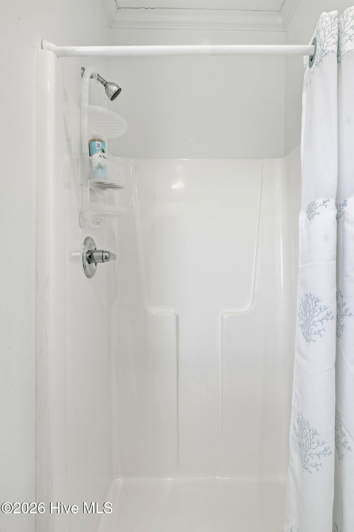 100566384 | Photo 35