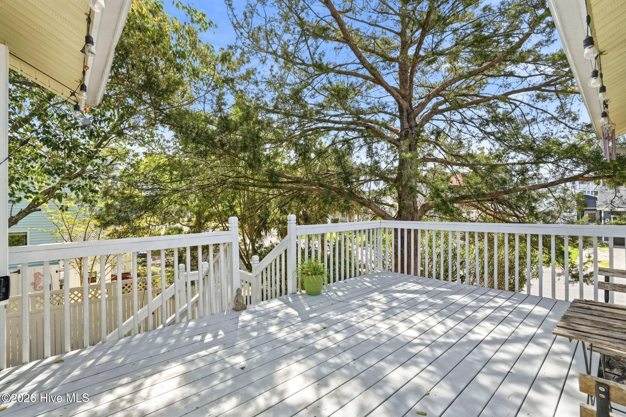 100566734 | Photo 30