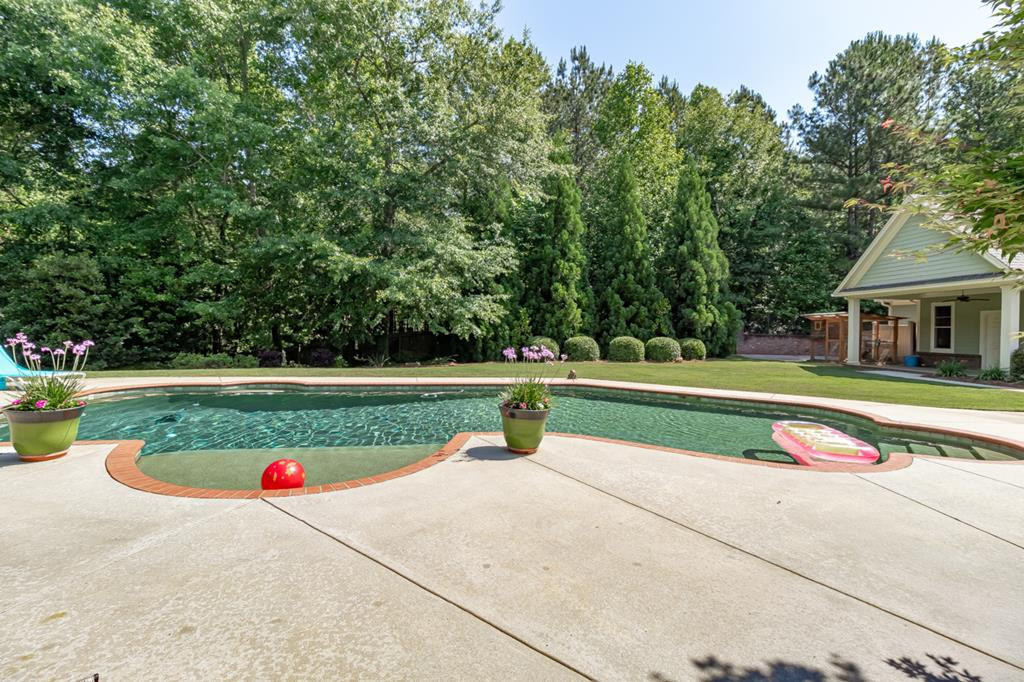 Salt Water Pool w/ swim outs