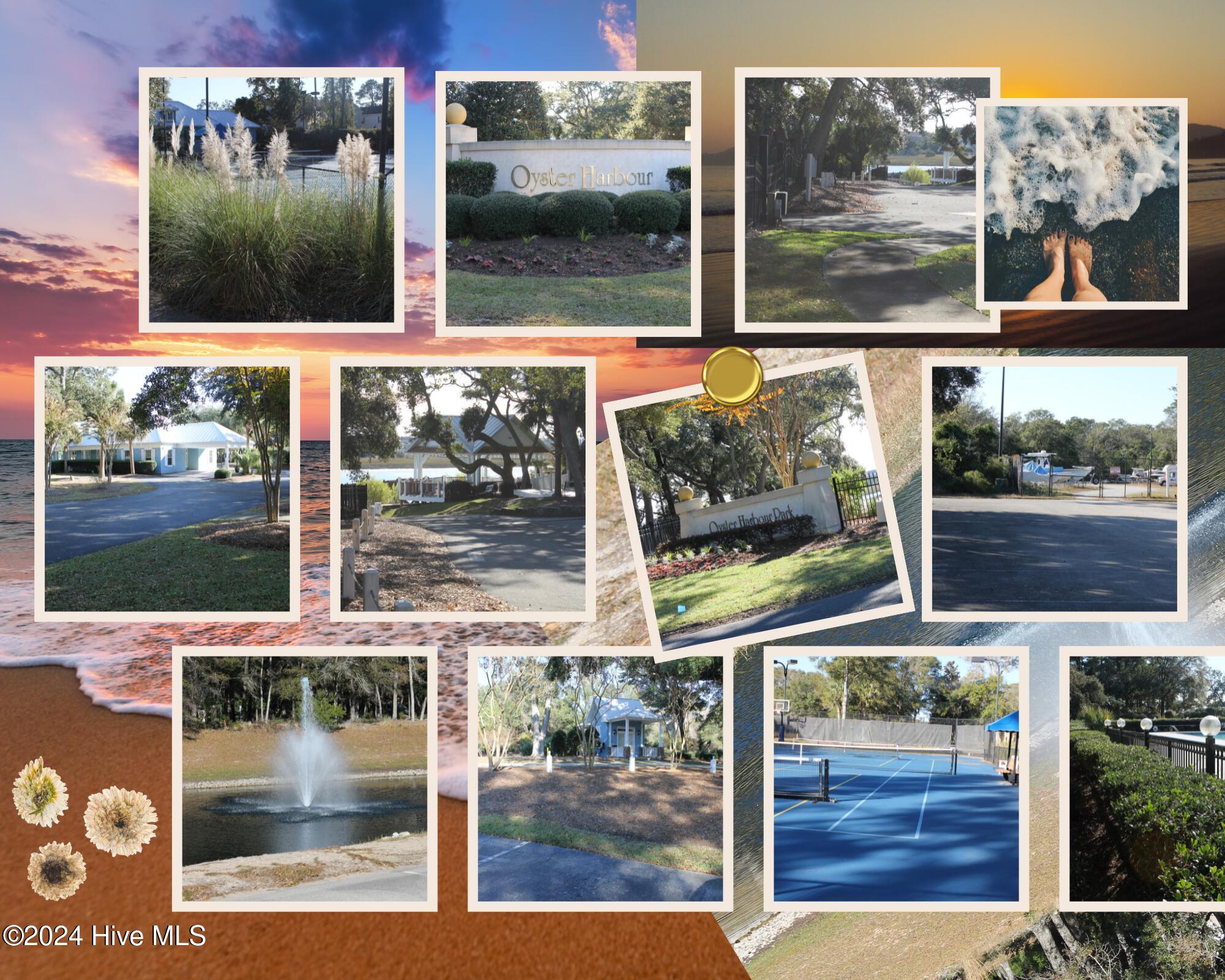 100478916 | Photo 49