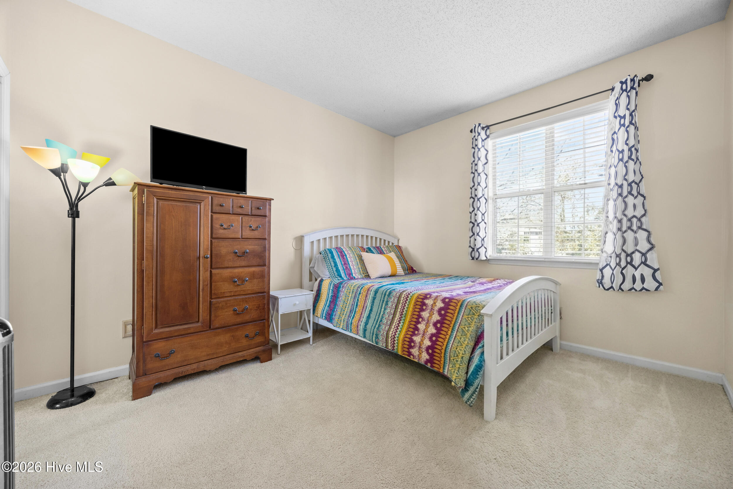 100565125 | Photo 21