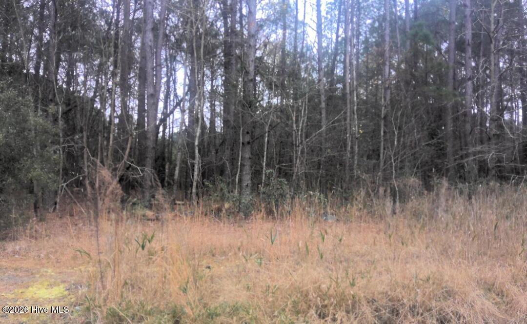 55 Mable, Kinston, North Carolina, 0 ,Wooded,For sale,Mable,100571136