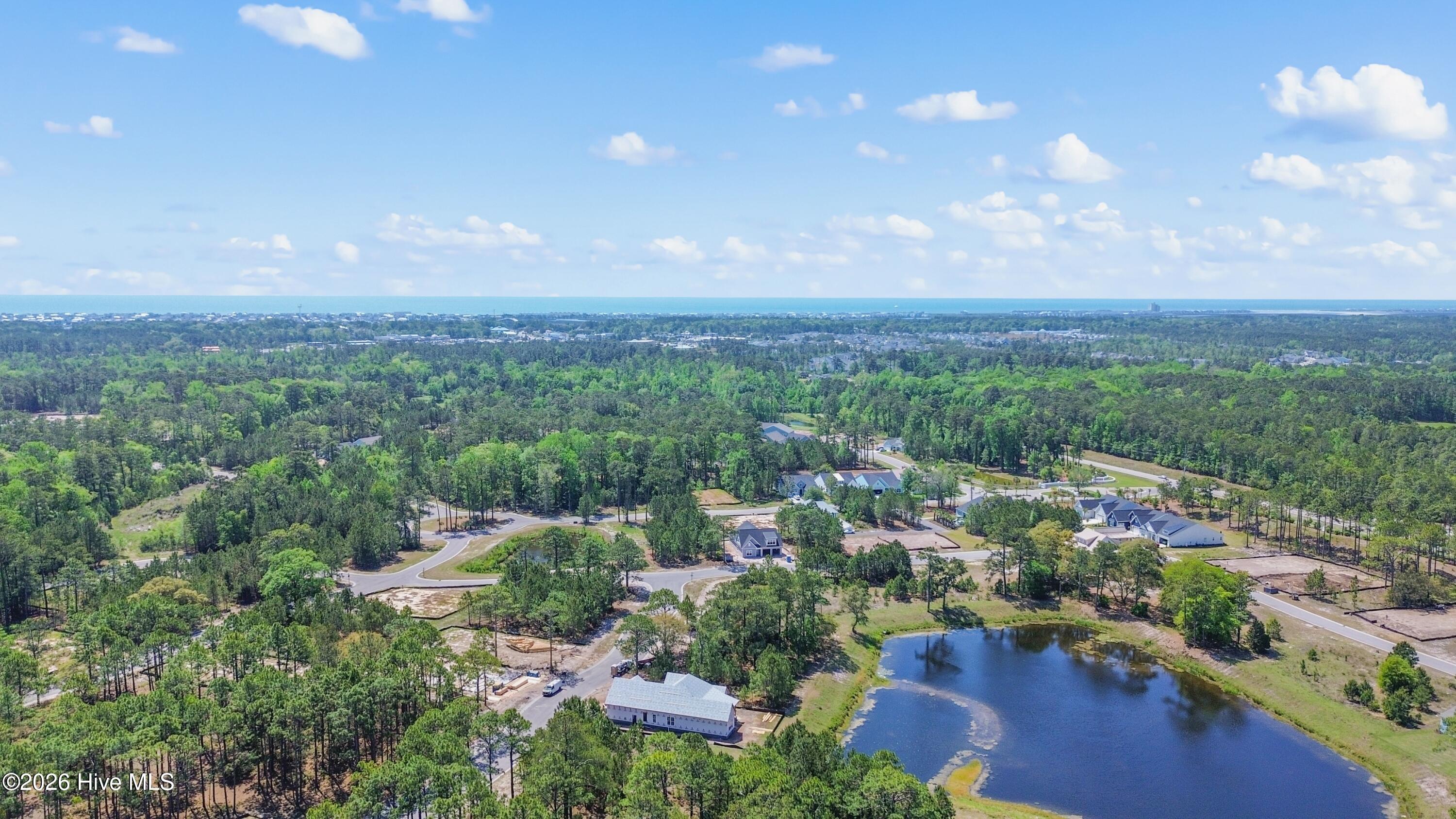 100555339 | Photo 42