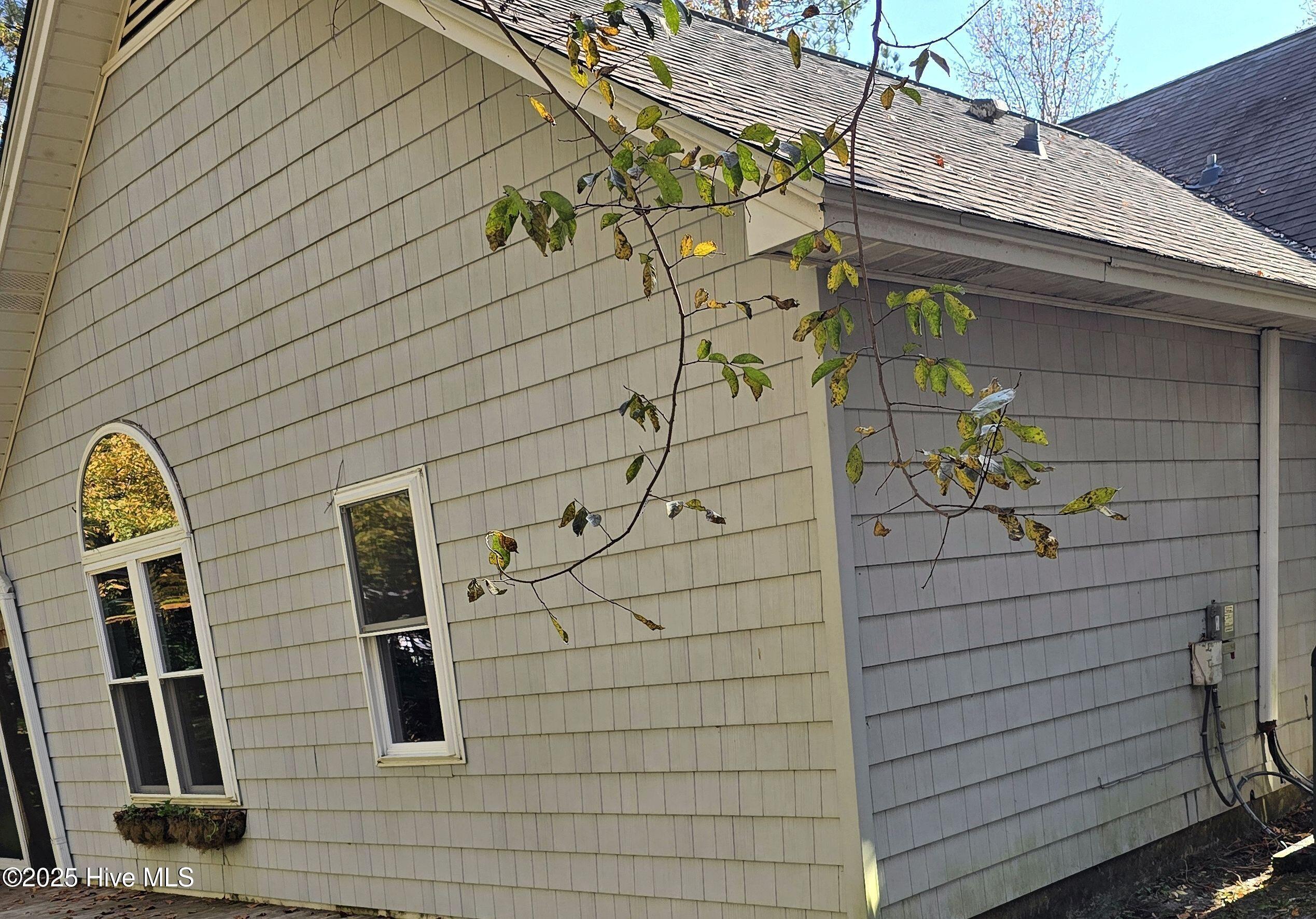 100542444 | Photo 16