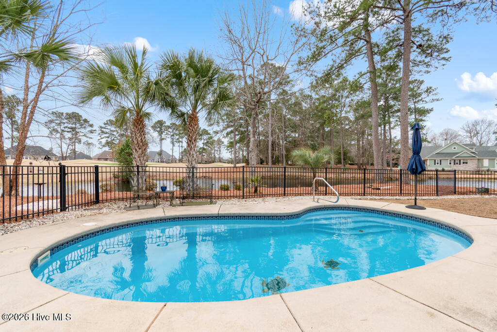 100558482 | Photo 12