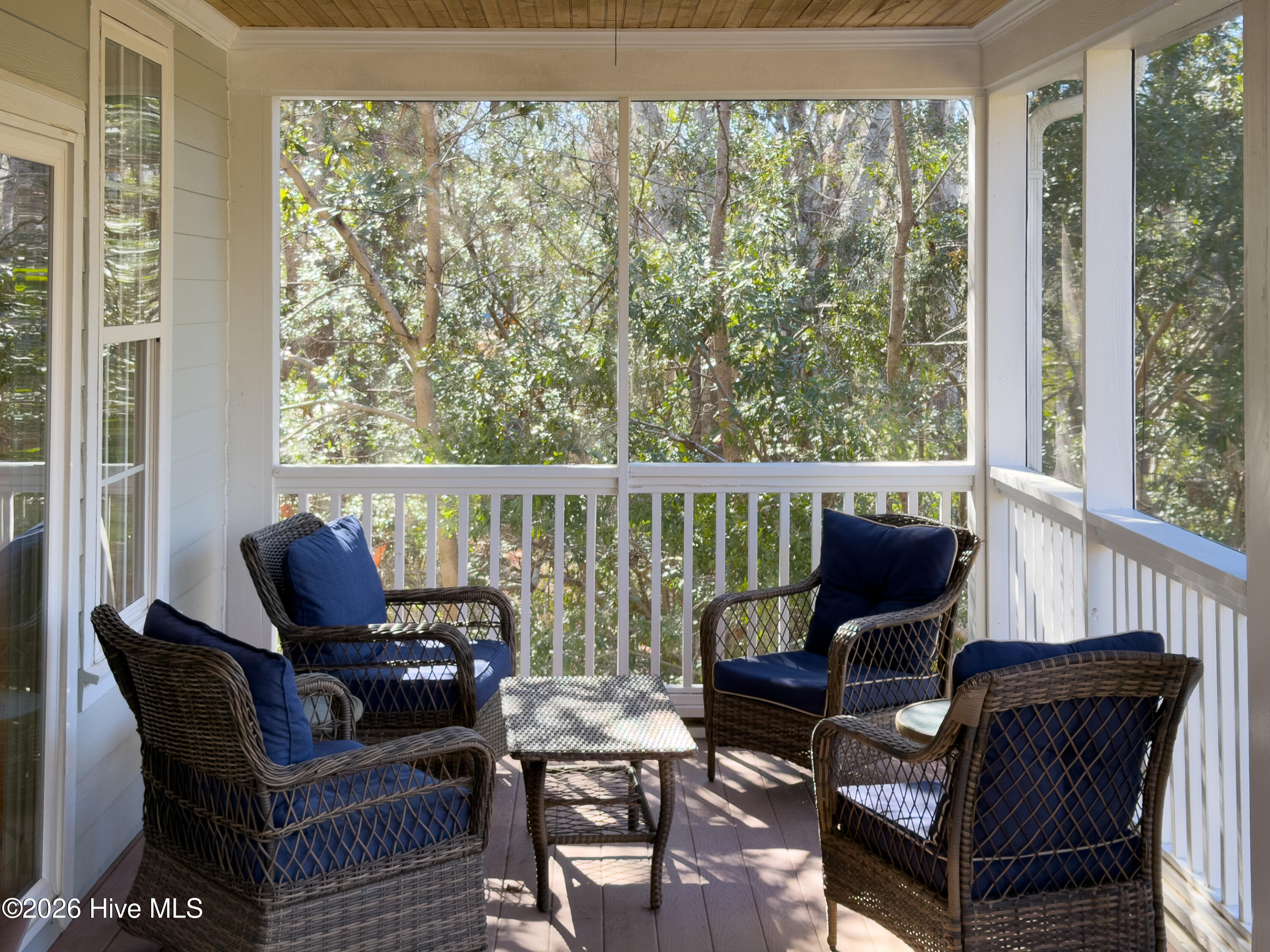 100563119 | Photo 28