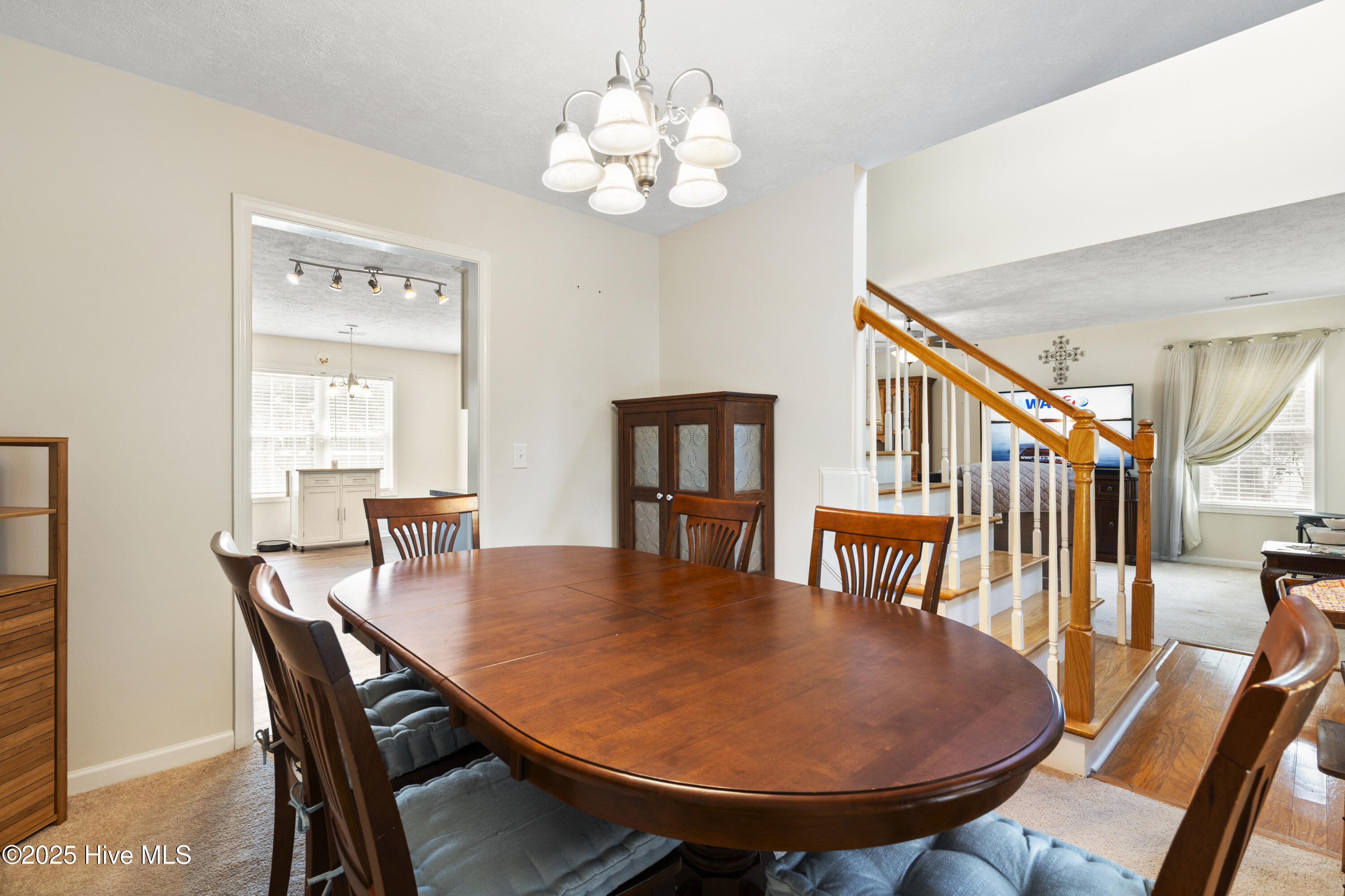 100509046 | Photo 16