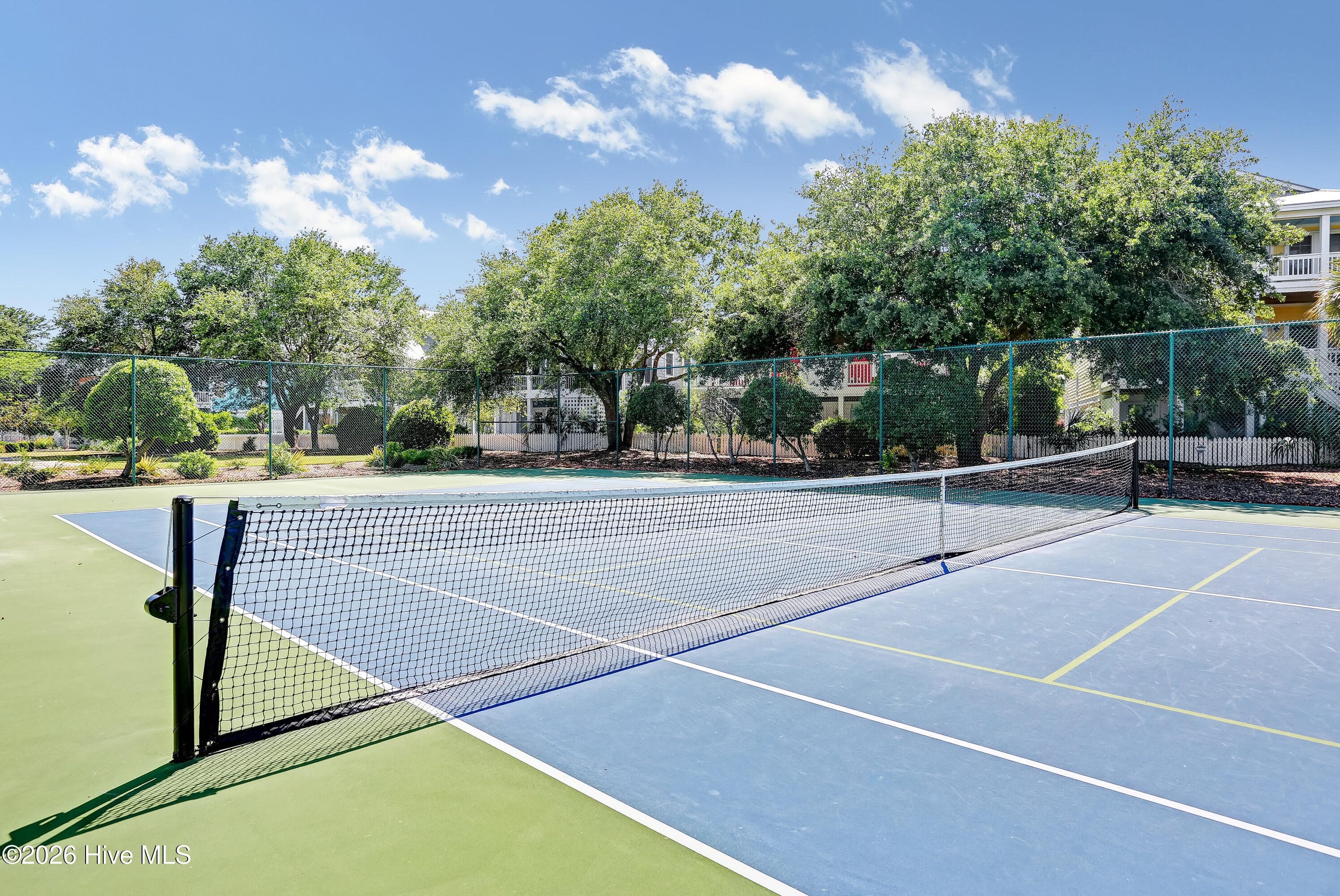 100558713 | Photo 20