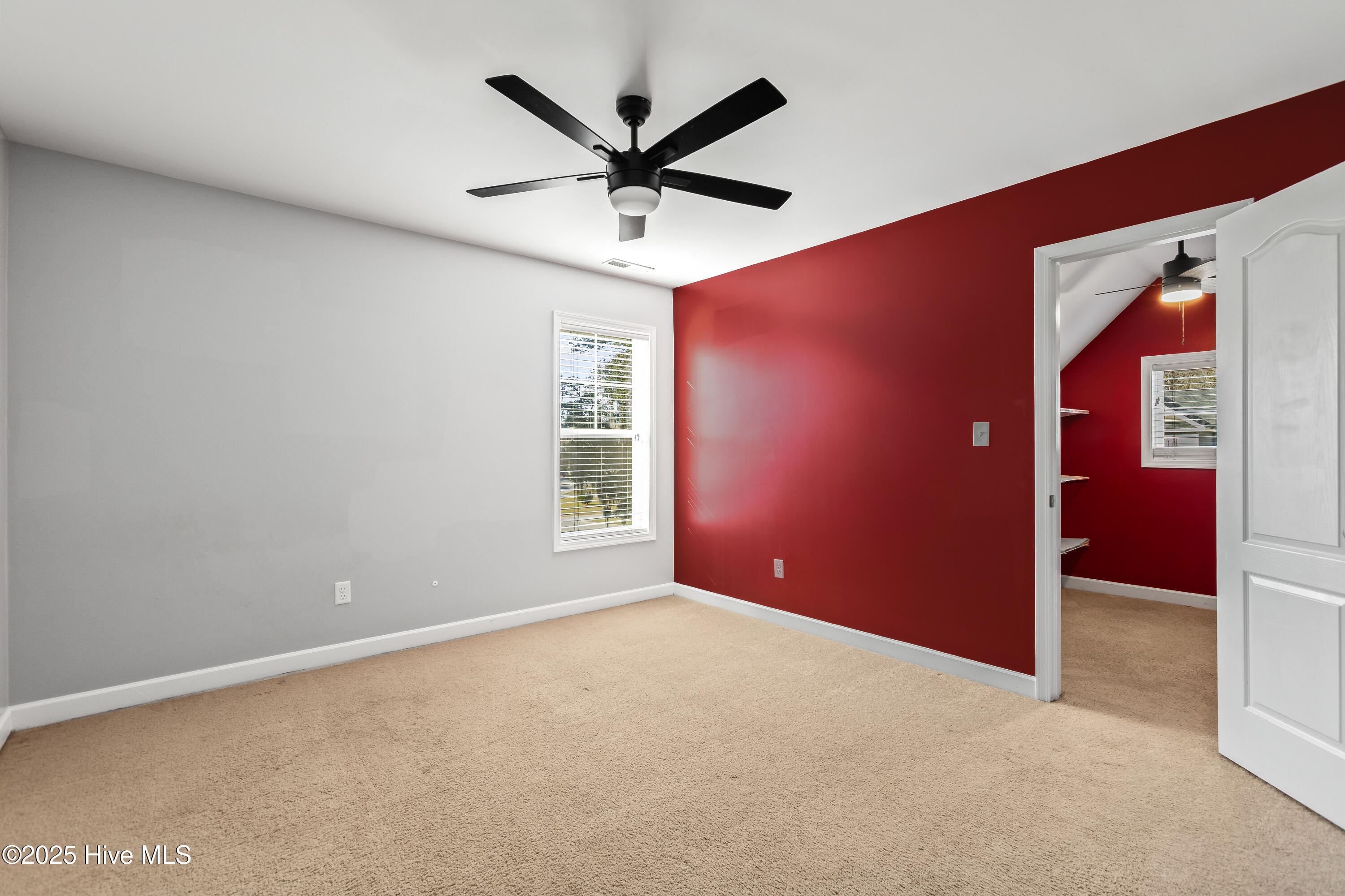 100541527 | Photo 29