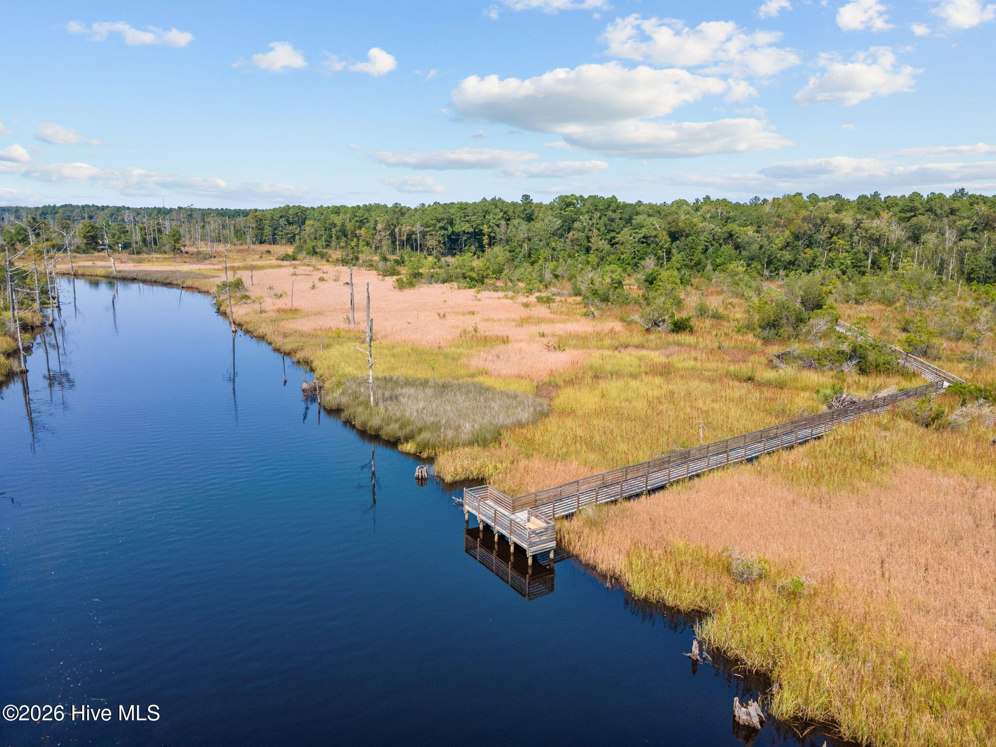 100563731 | Photo 95