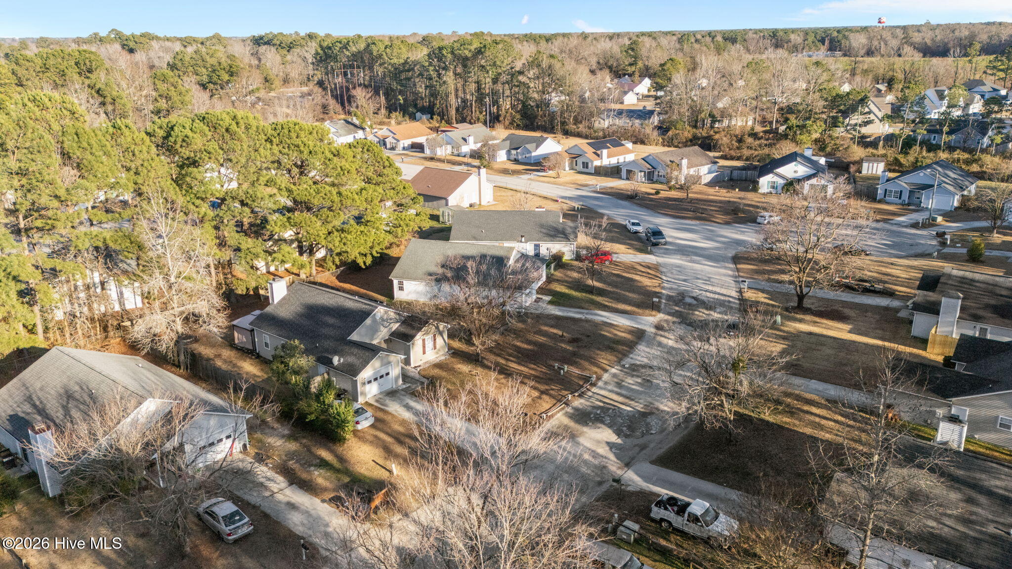 100550569 | Photo 12