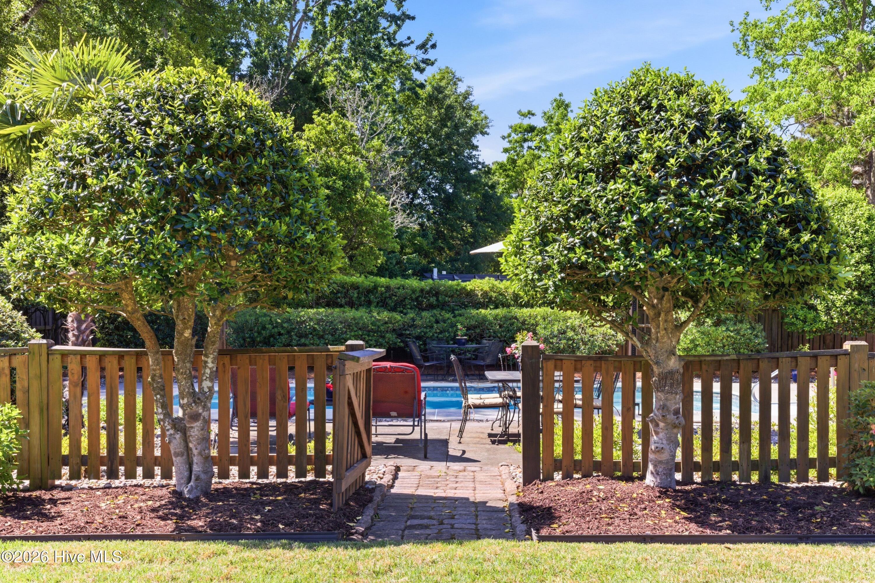 100568689 | Photo 30