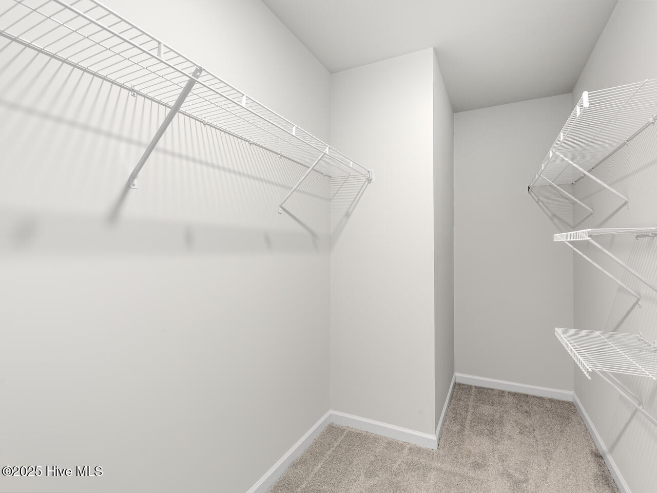 100561611 | Photo 36