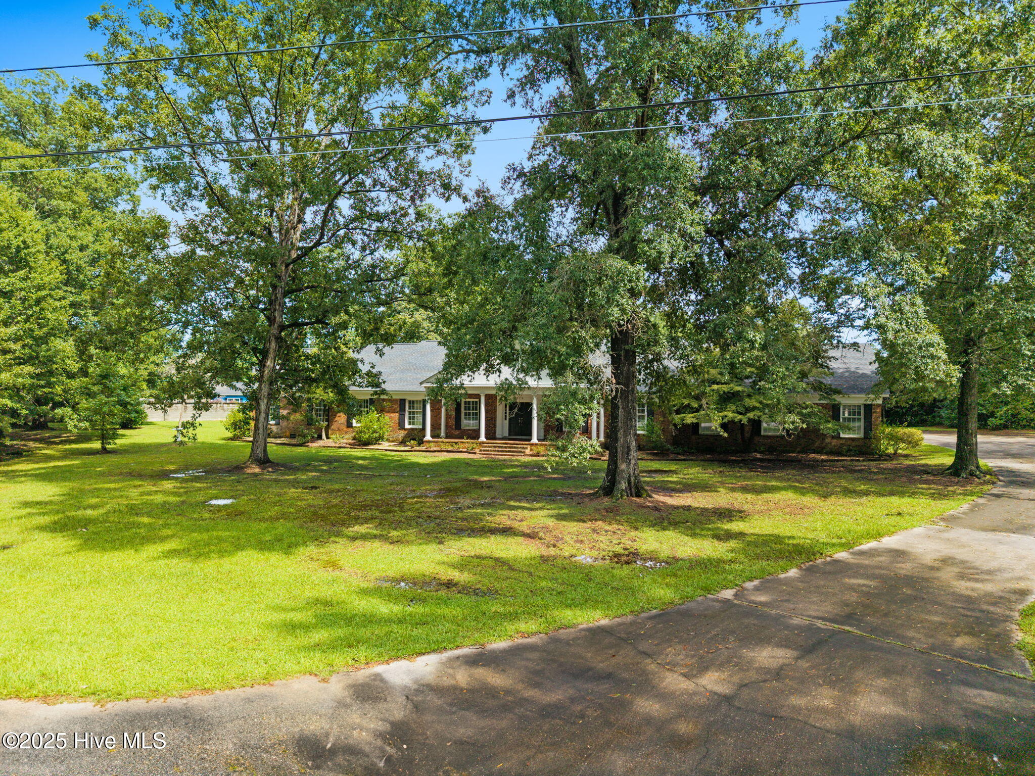 100526462 | Photo 64