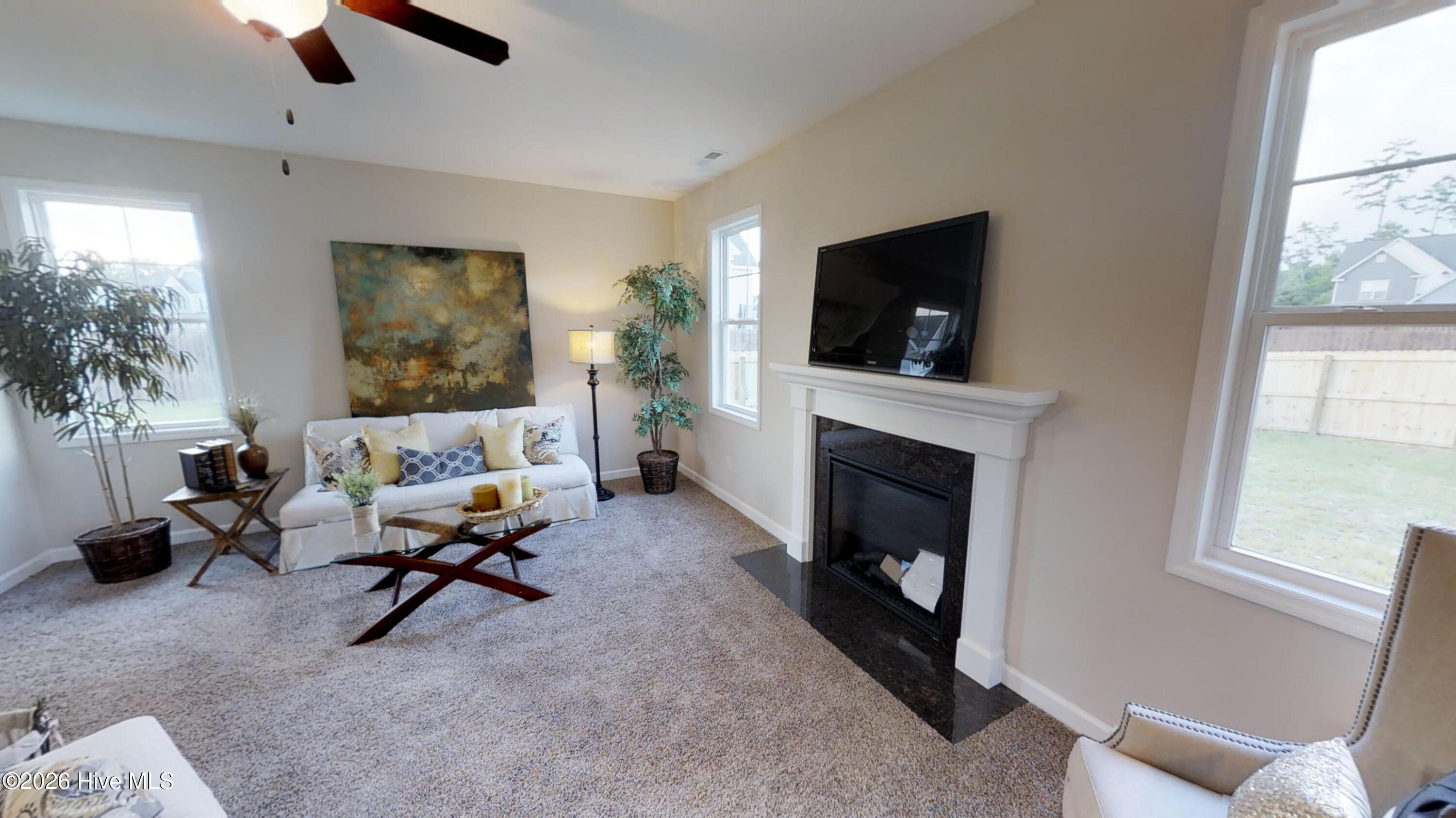 100563433 | Photo 19