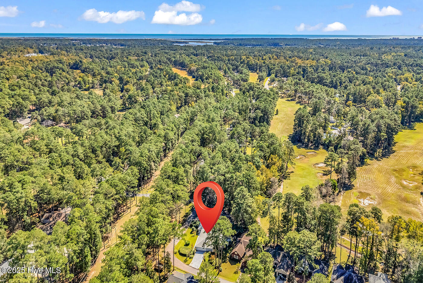 100536958 | Photo 32