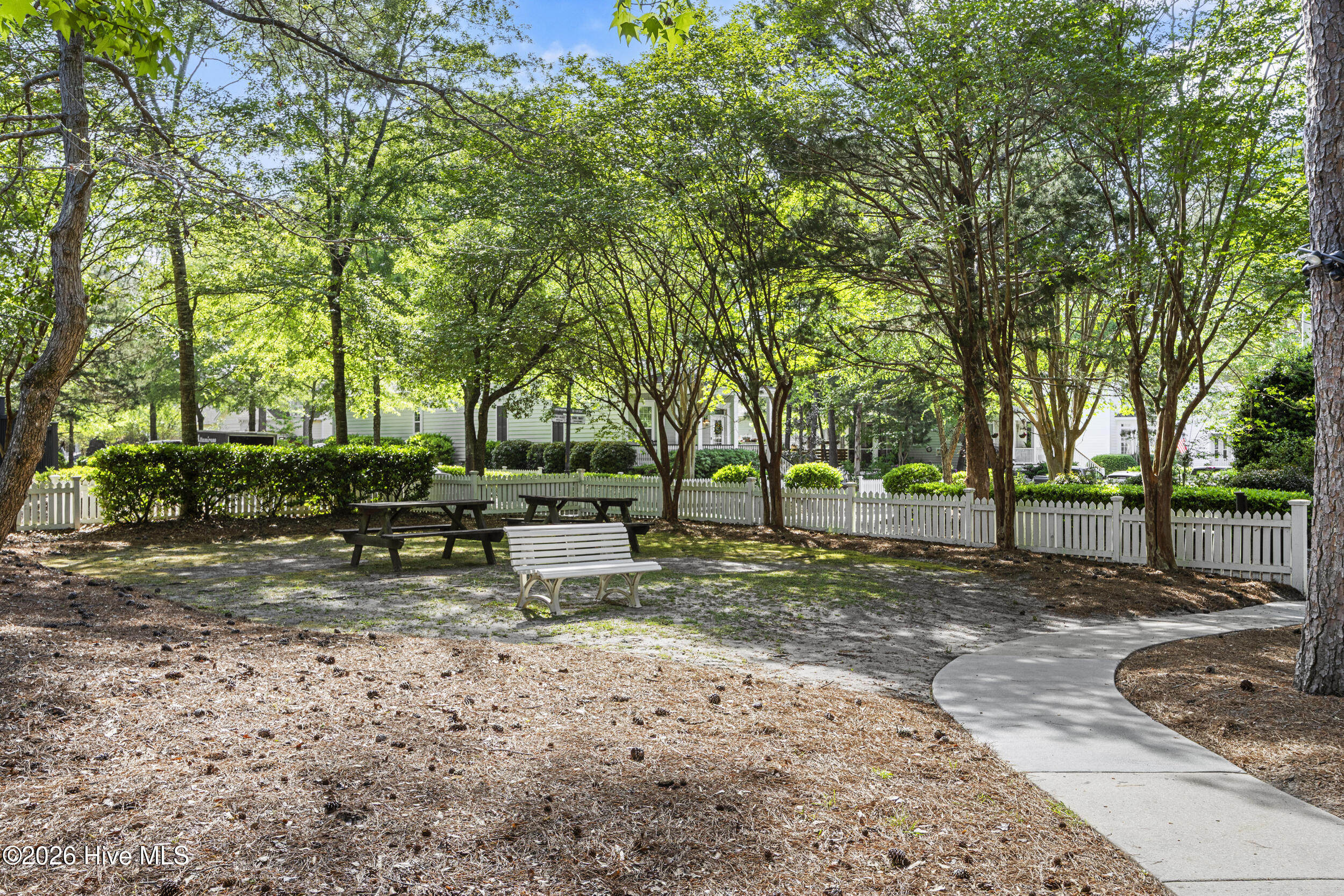 100567913 | Photo 55