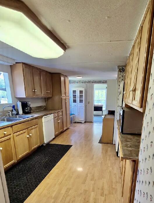 050B36D2-10CD-414C-BF49-26F2FD44BEB9