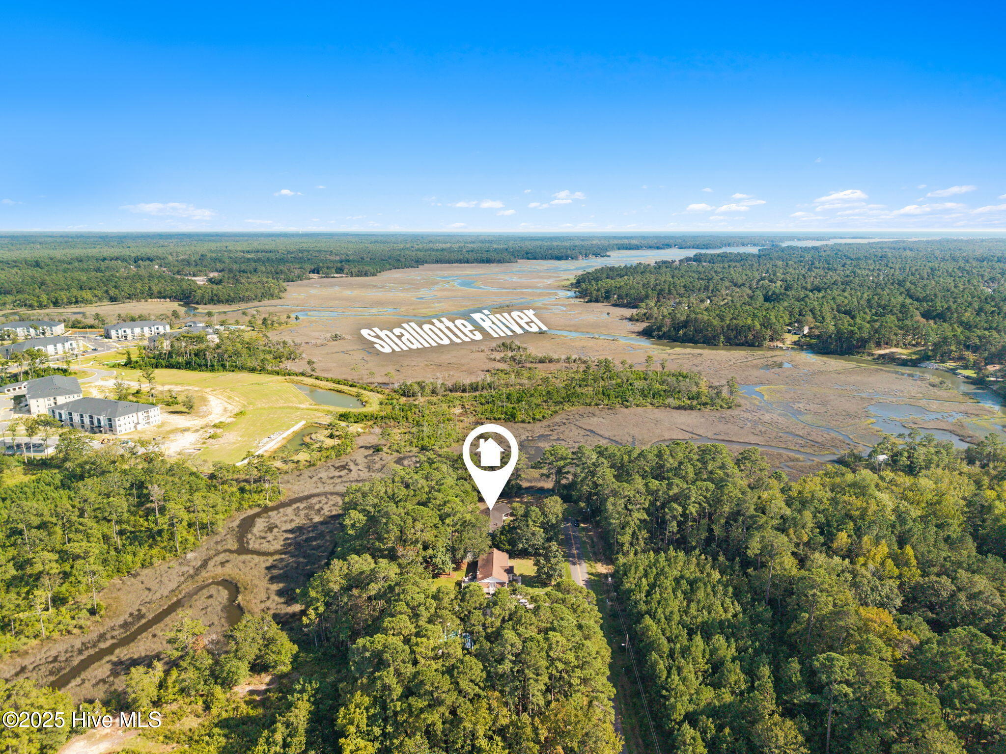 100534429 | Photo 18